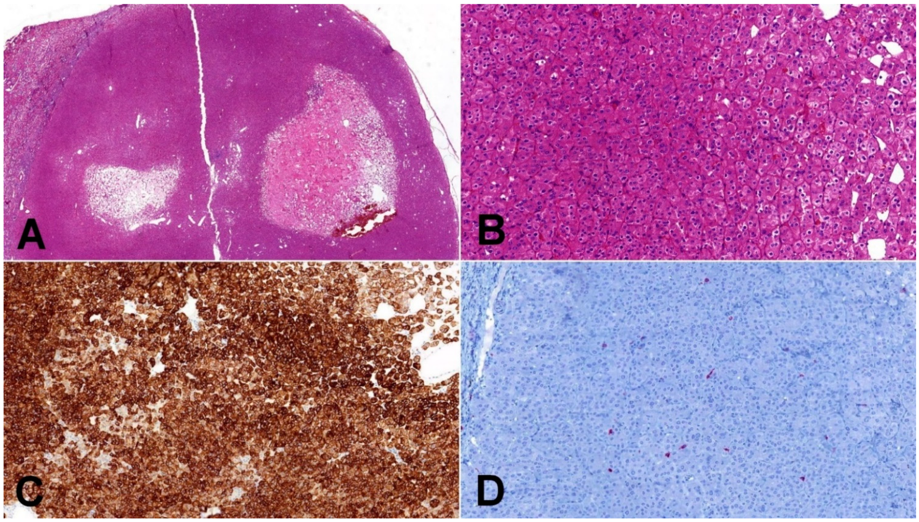 Biomedicines 10 00322 g002