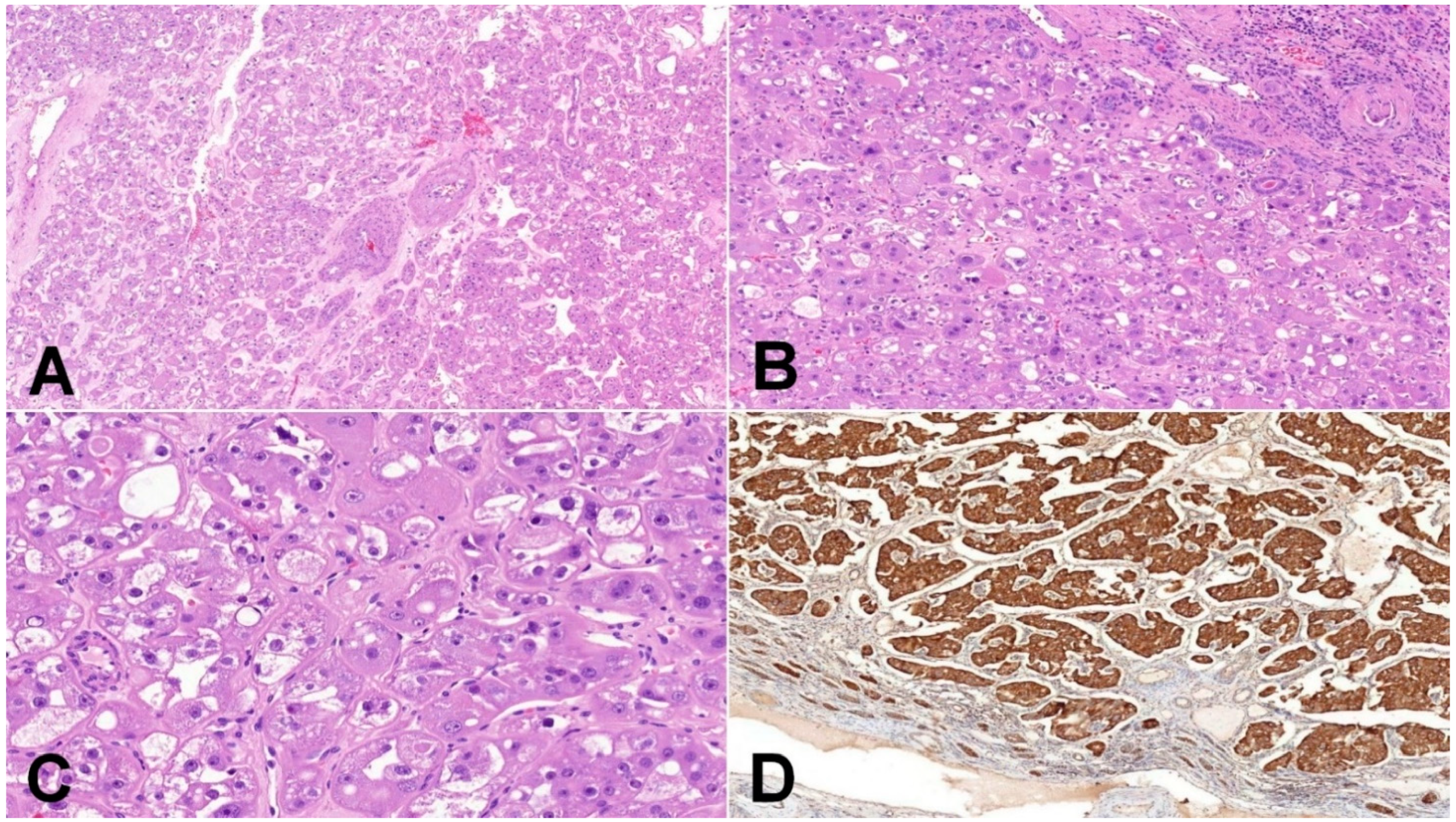 Biomedicines 10 00322 g003