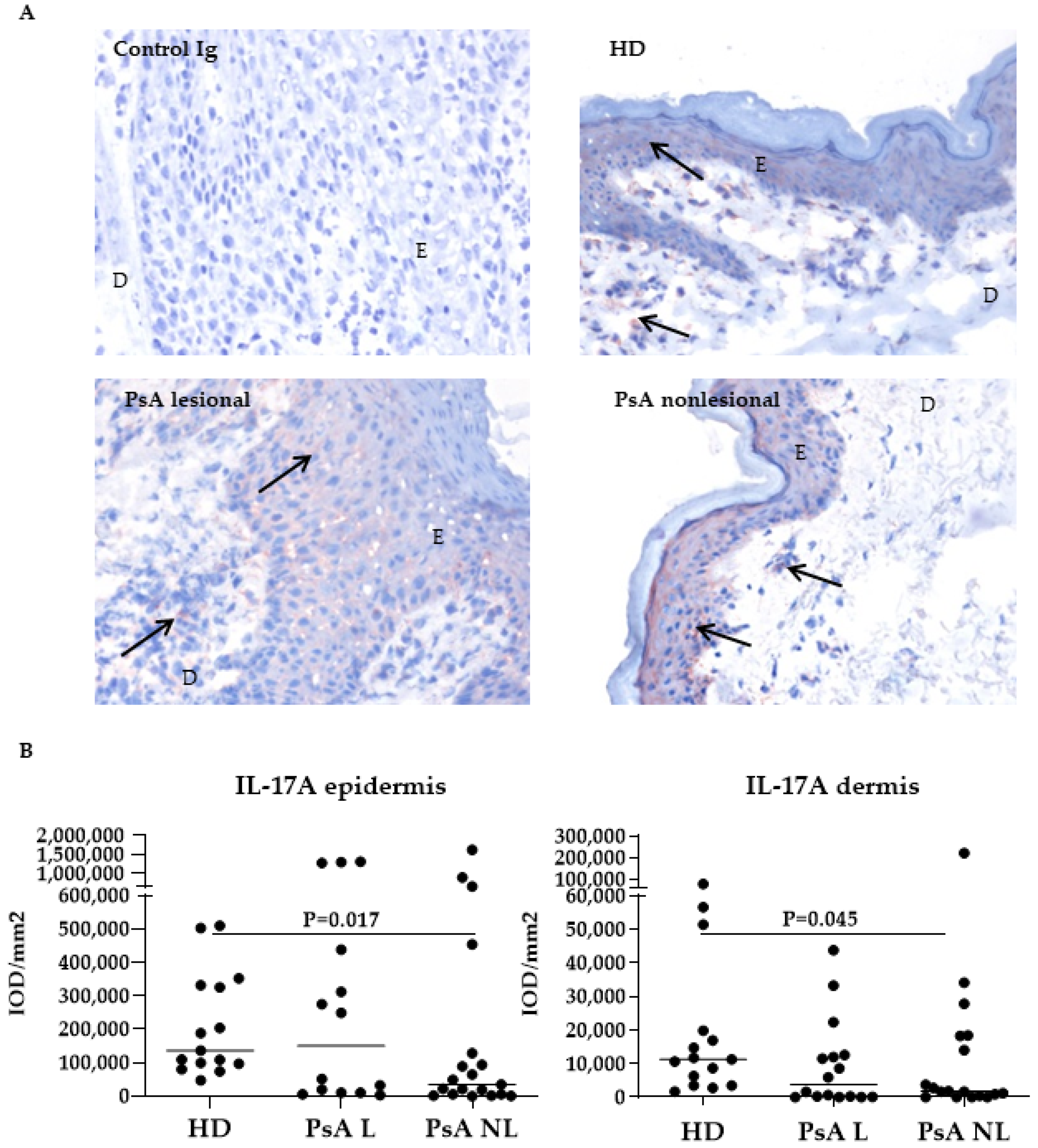 Biomedicines 10 00324 g001