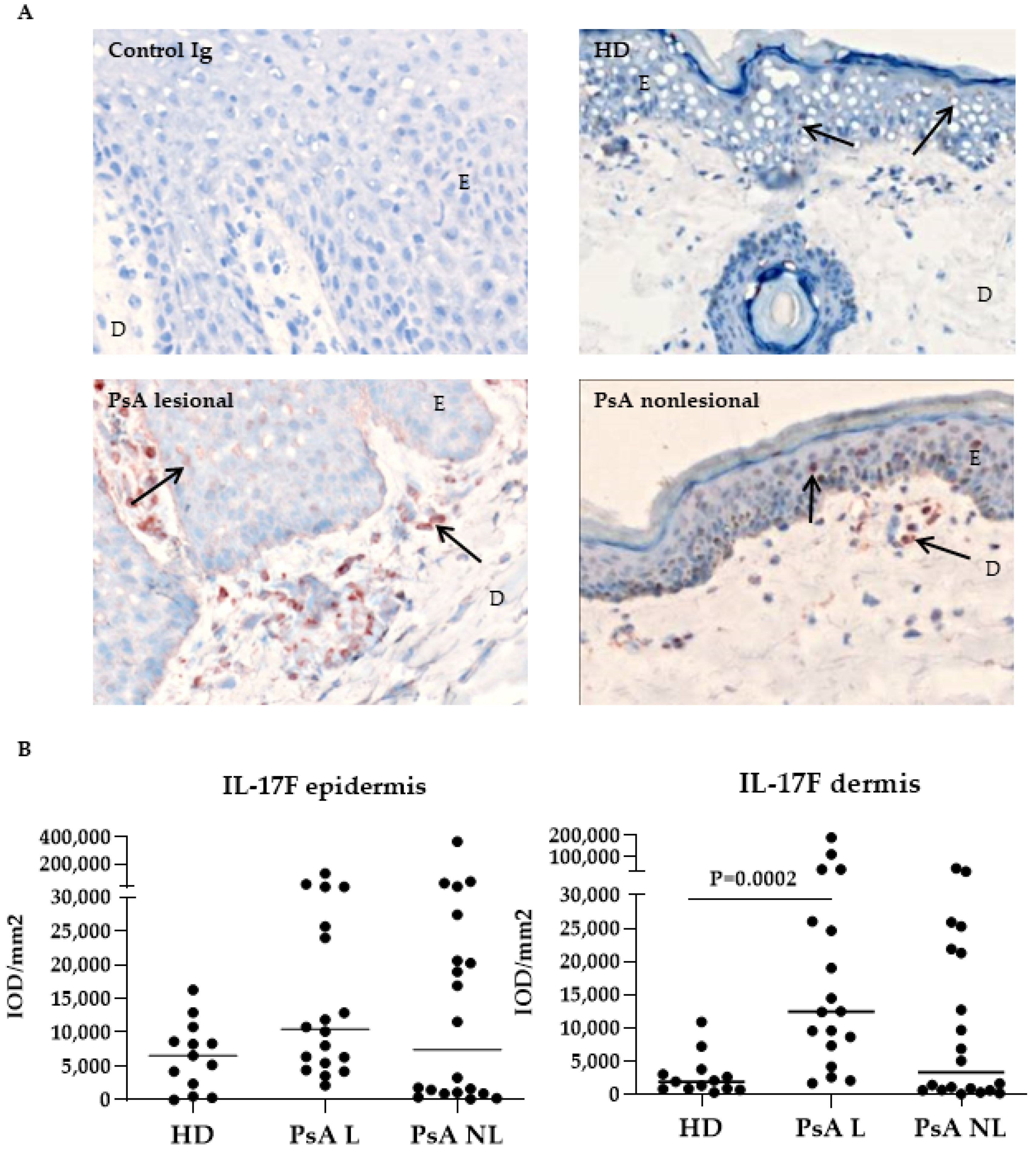 Biomedicines 10 00324 g002