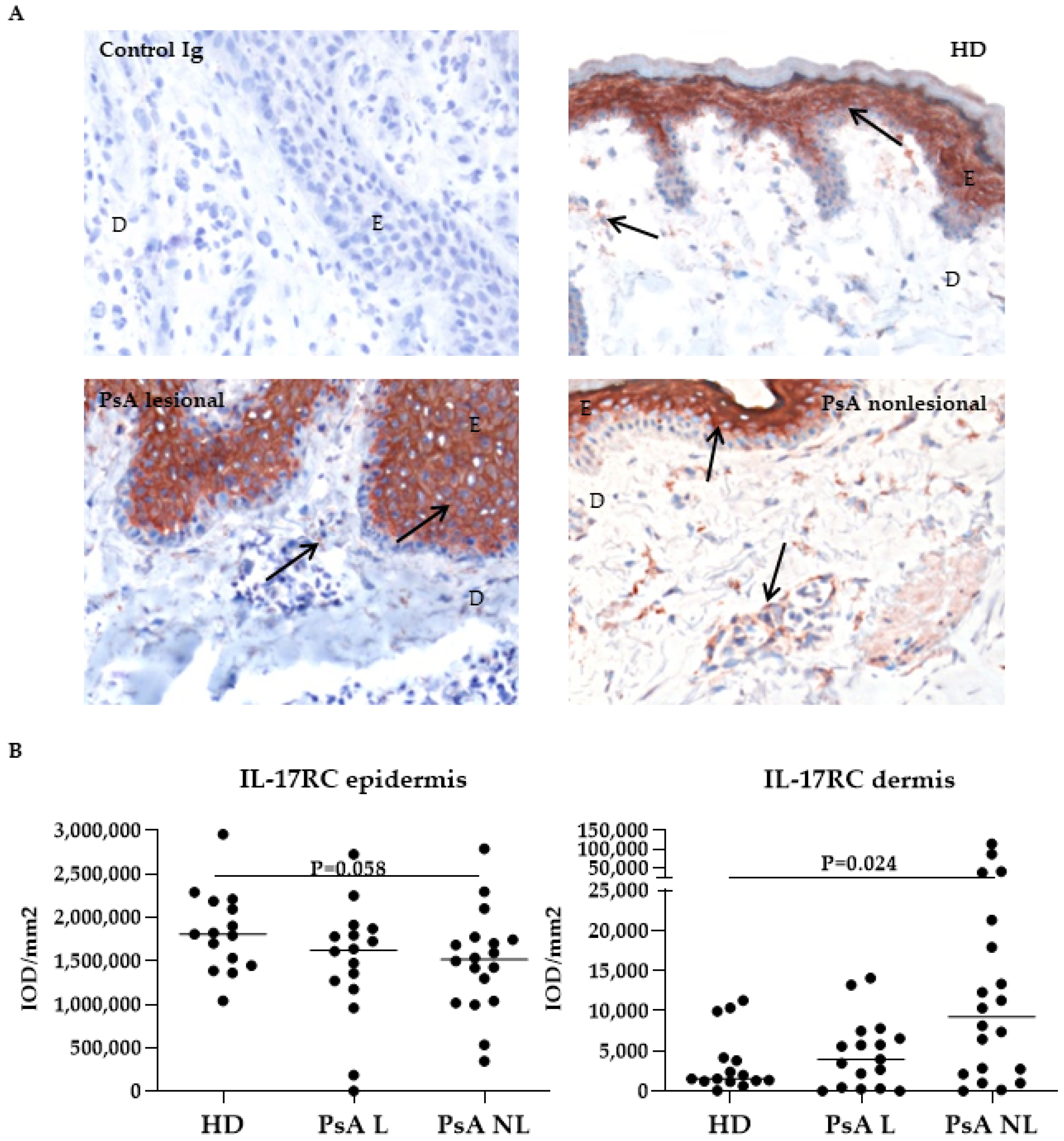 Biomedicines 10 00324 g004
