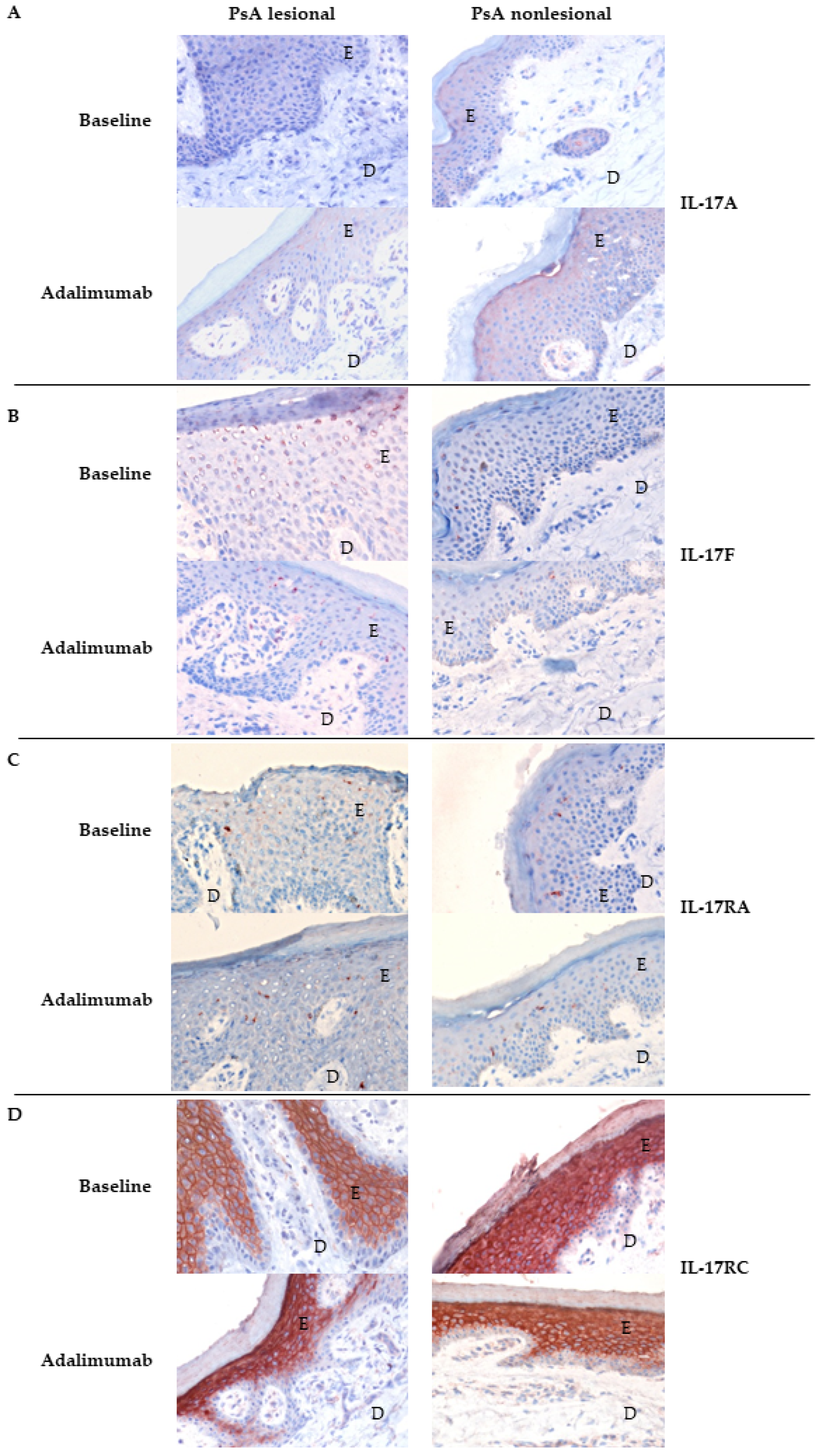 Biomedicines 10 00324 g005