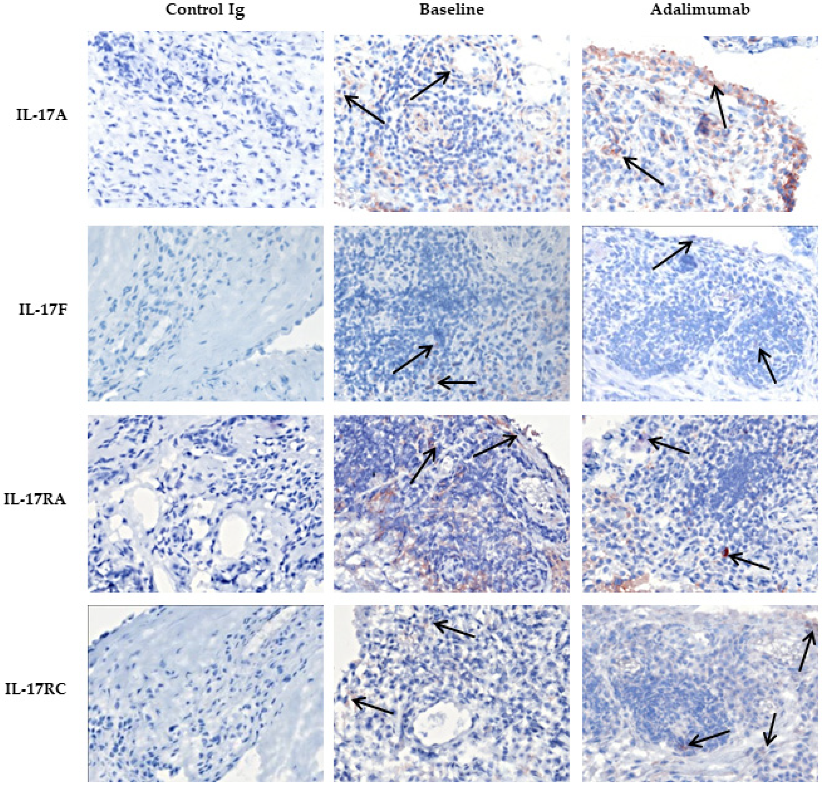 Biomedicines 10 00324 g006