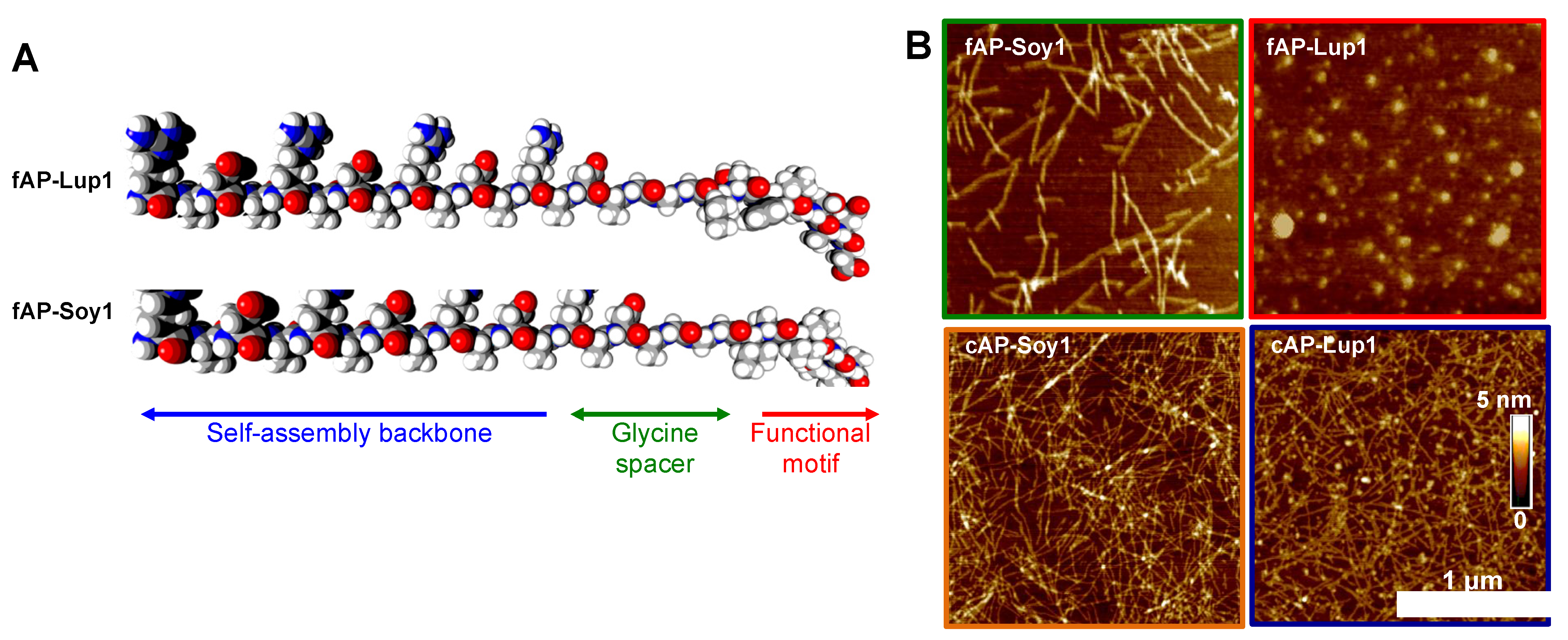 Biomedicines 10 00330 g001 Biomedicines 10 00330 g001