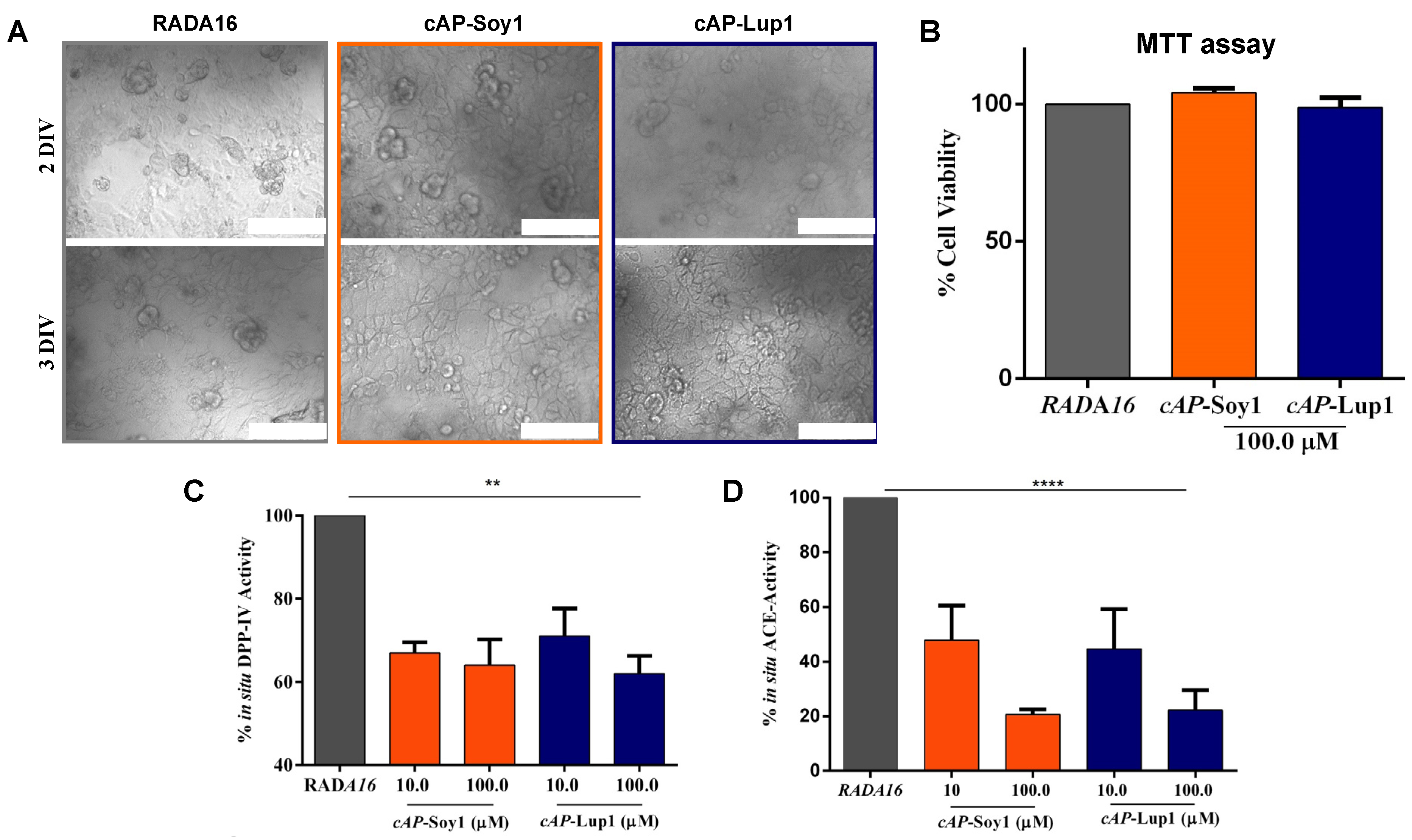 Biomedicines 10 00330 g004 Biomedicines 10 00330 g004