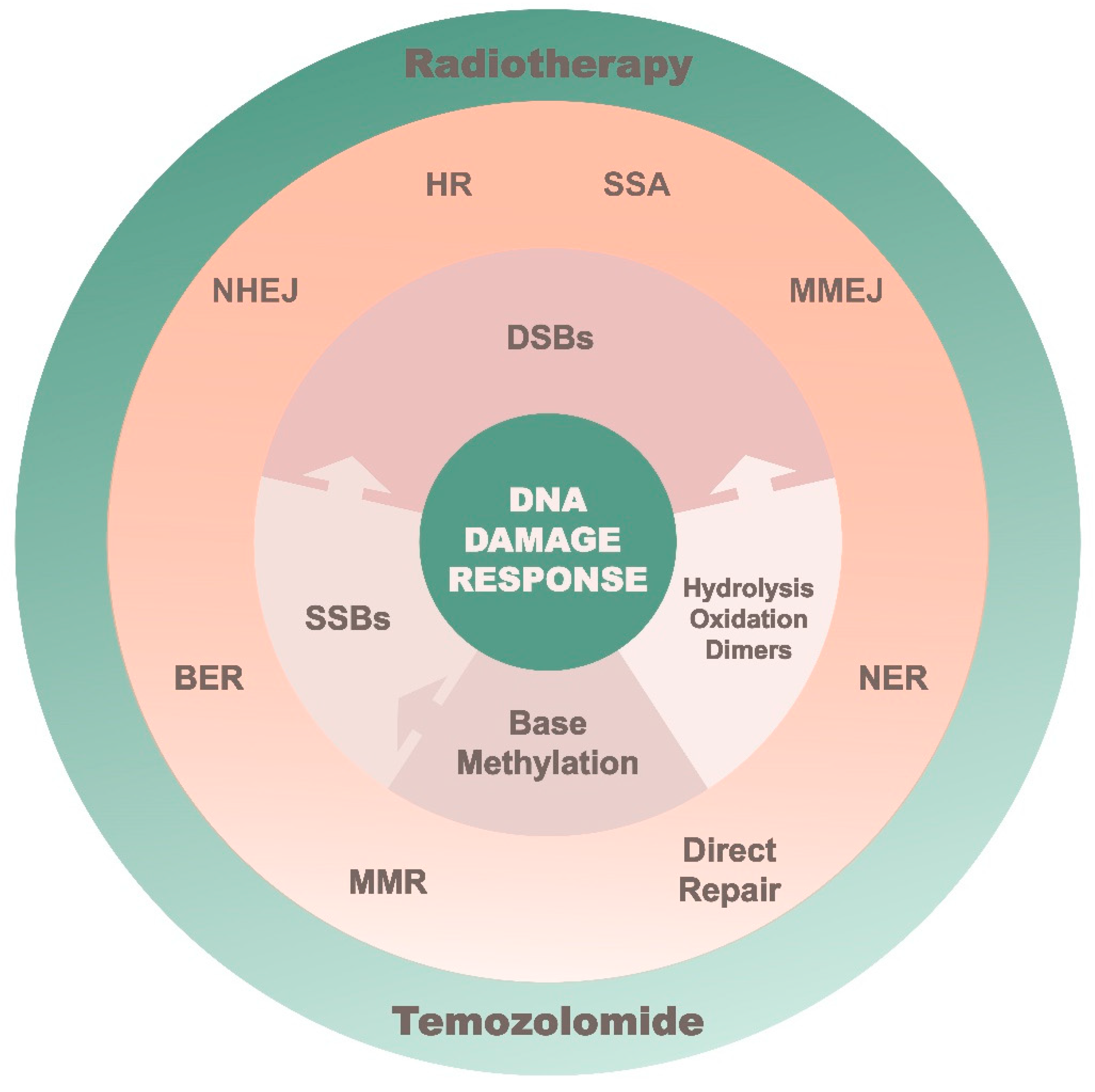 Biomedicines 10 00332 g002 Biomedicines 10 00332 g002