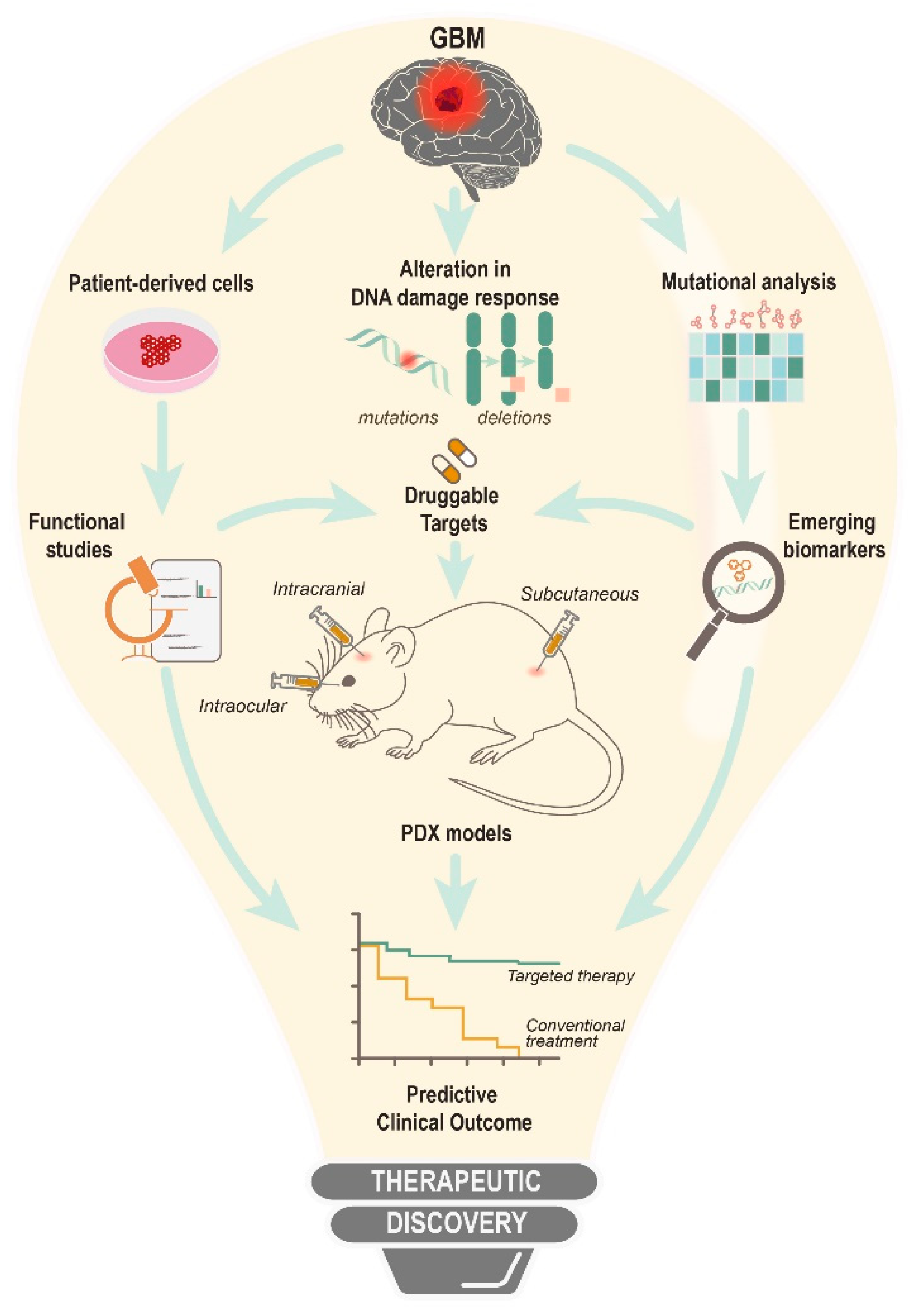 Biomedicines 10 00332 g003 Biomedicines 10 00332 g003
