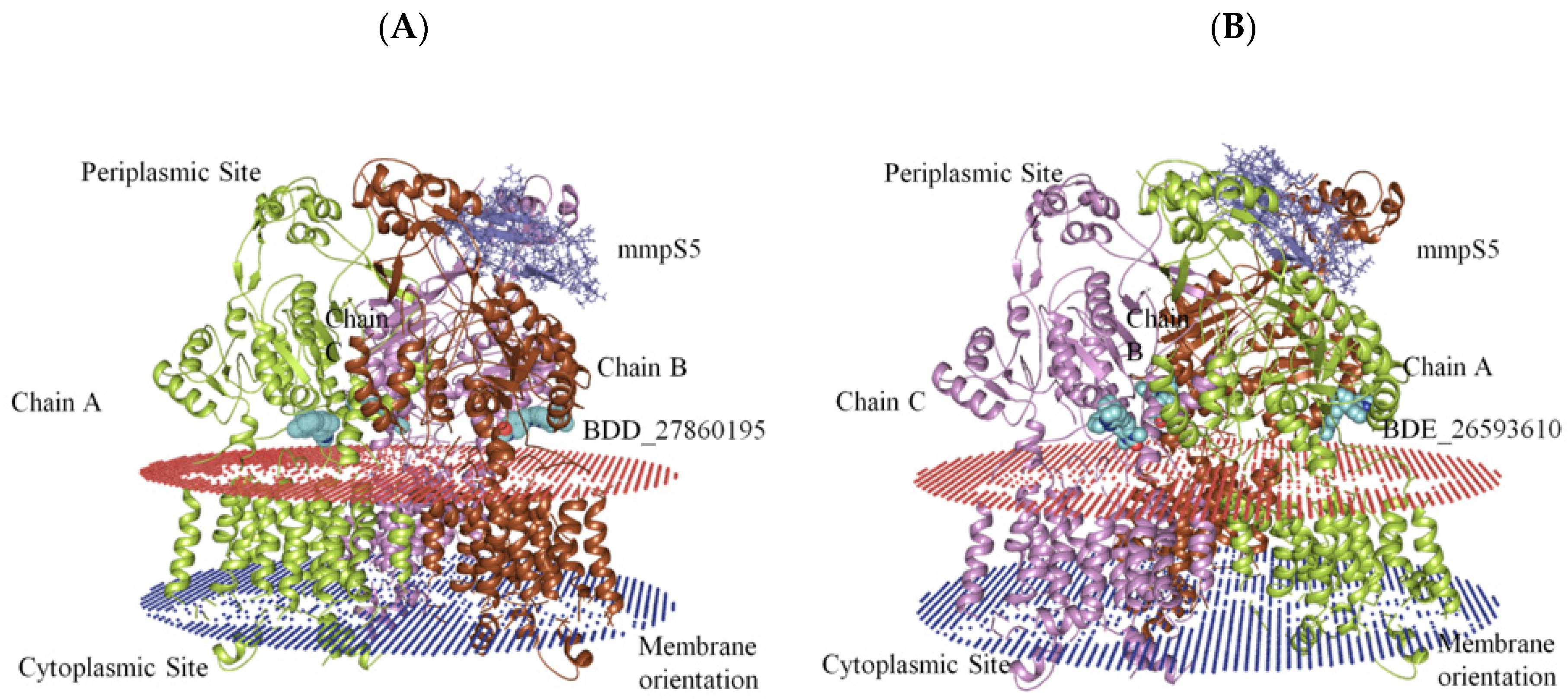 Biomedicines 10 00333 g002