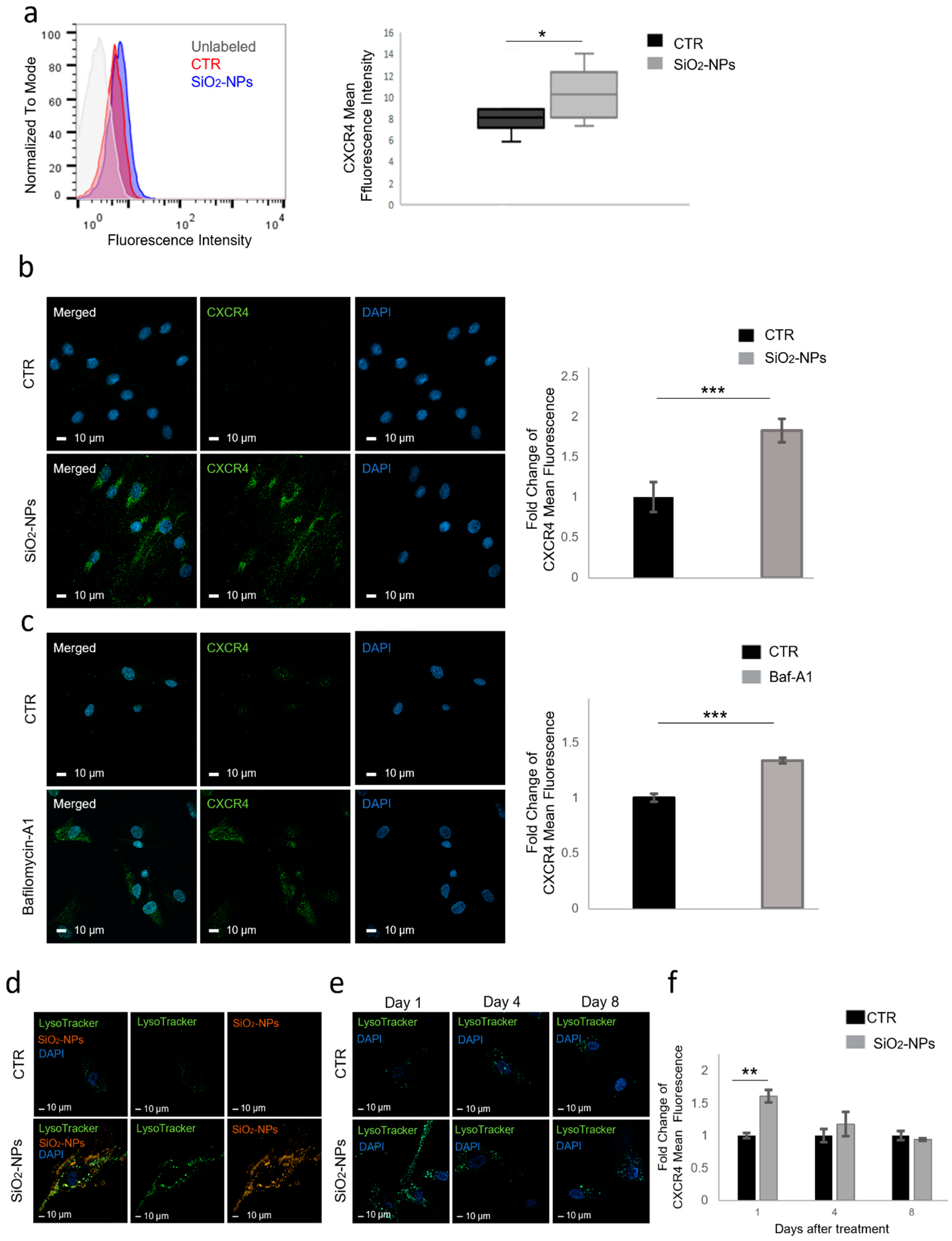 Biomedicines 10 00336 g001