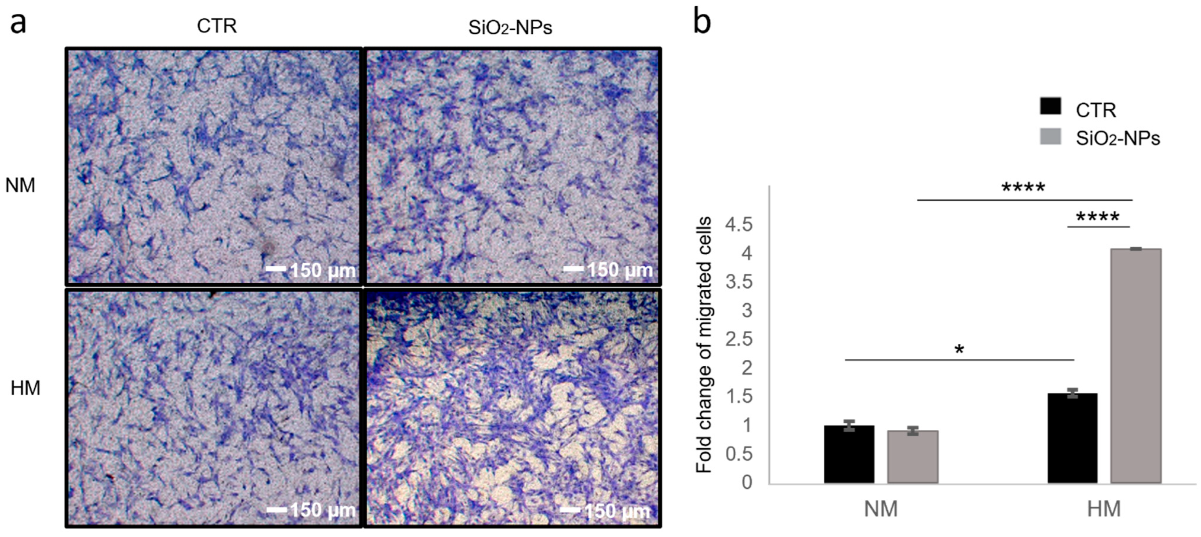 Biomedicines 10 00336 g004