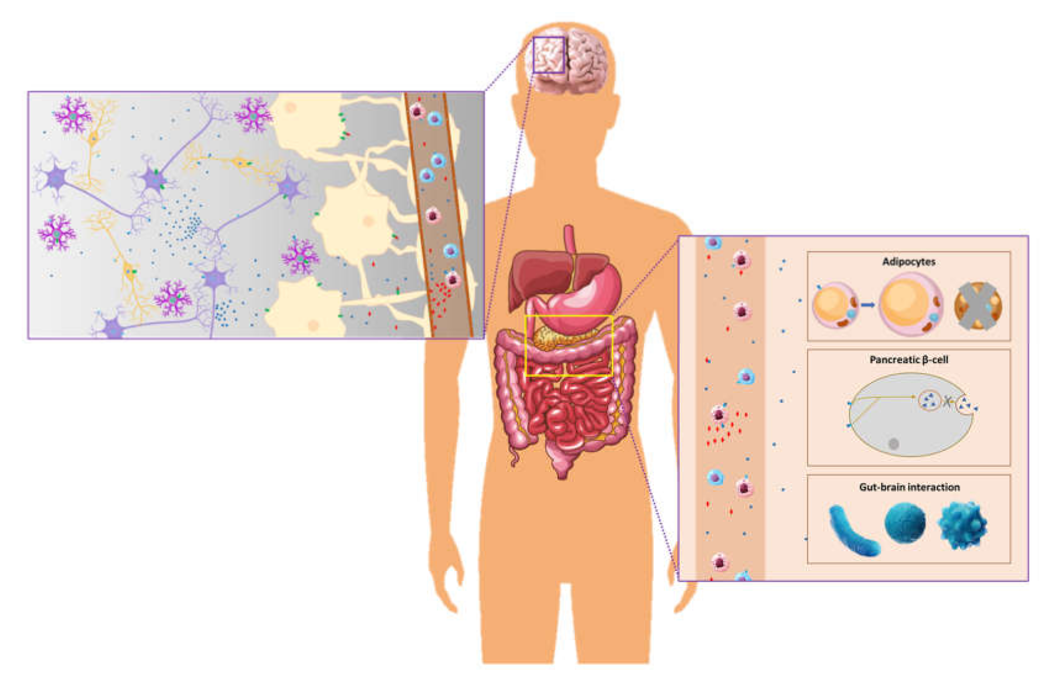 Biomedicines 10 00343 g001
