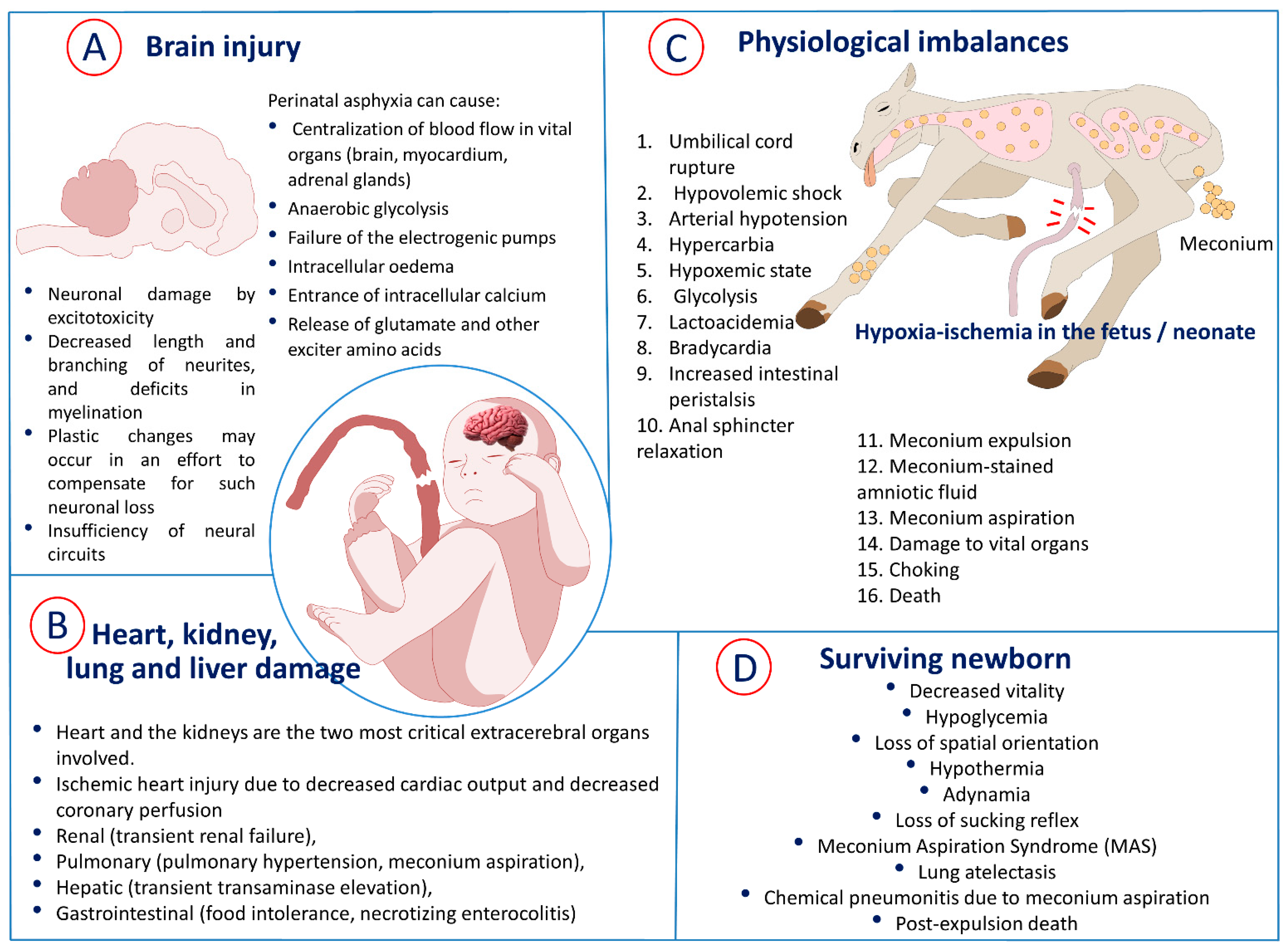 Biomedicines 10 00347 g002