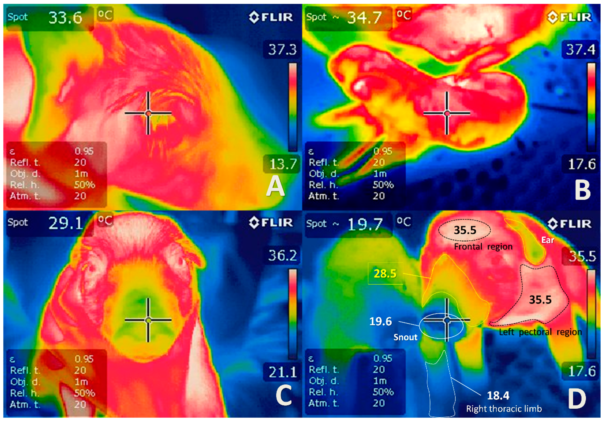 Biomedicines 10 00347 g009