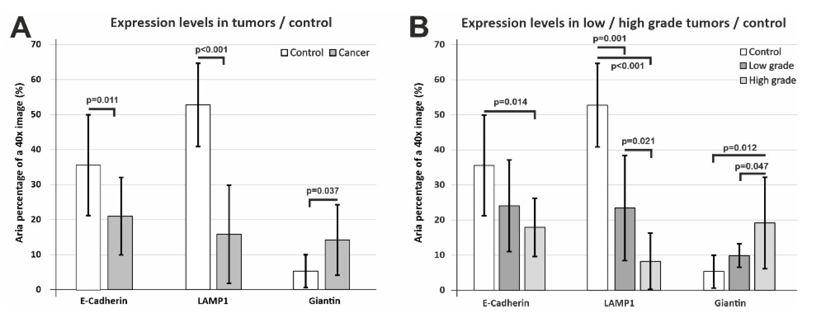 Biomedicines 10 00349 g007
