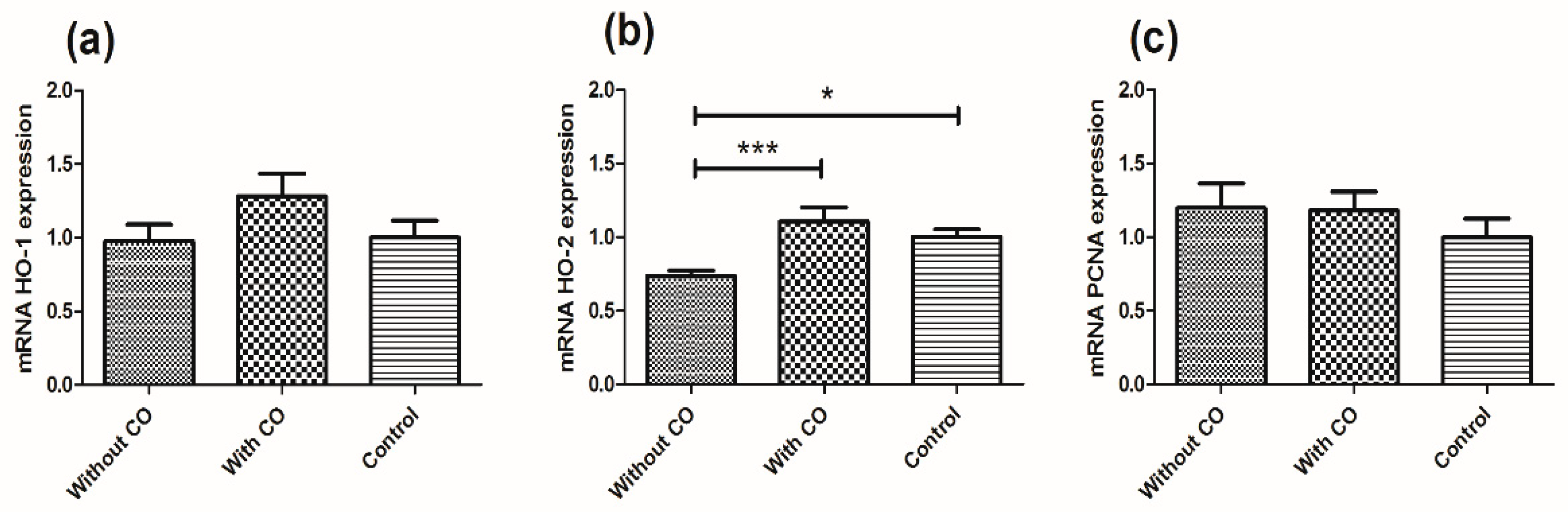 Biomedicines 10 00358 g001