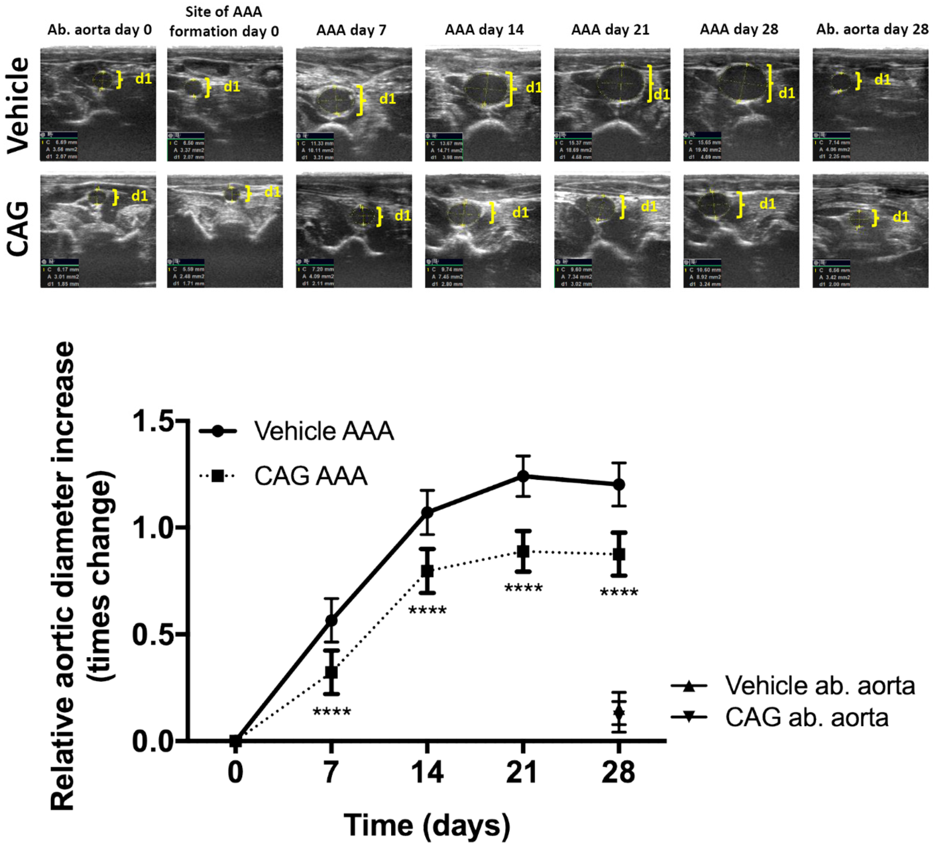 Biomedicines 10 00359 g002