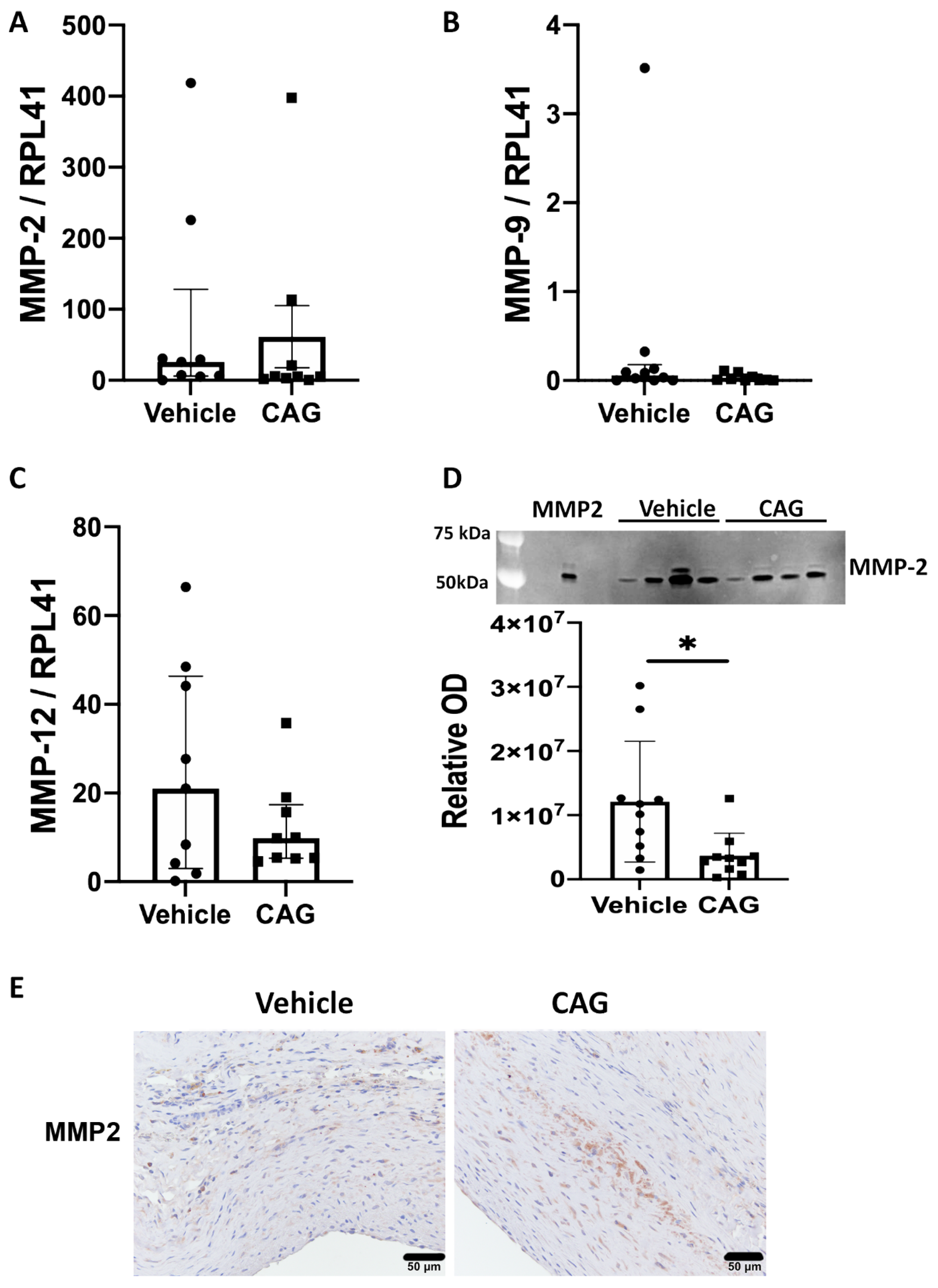 Biomedicines 10 00359 g004