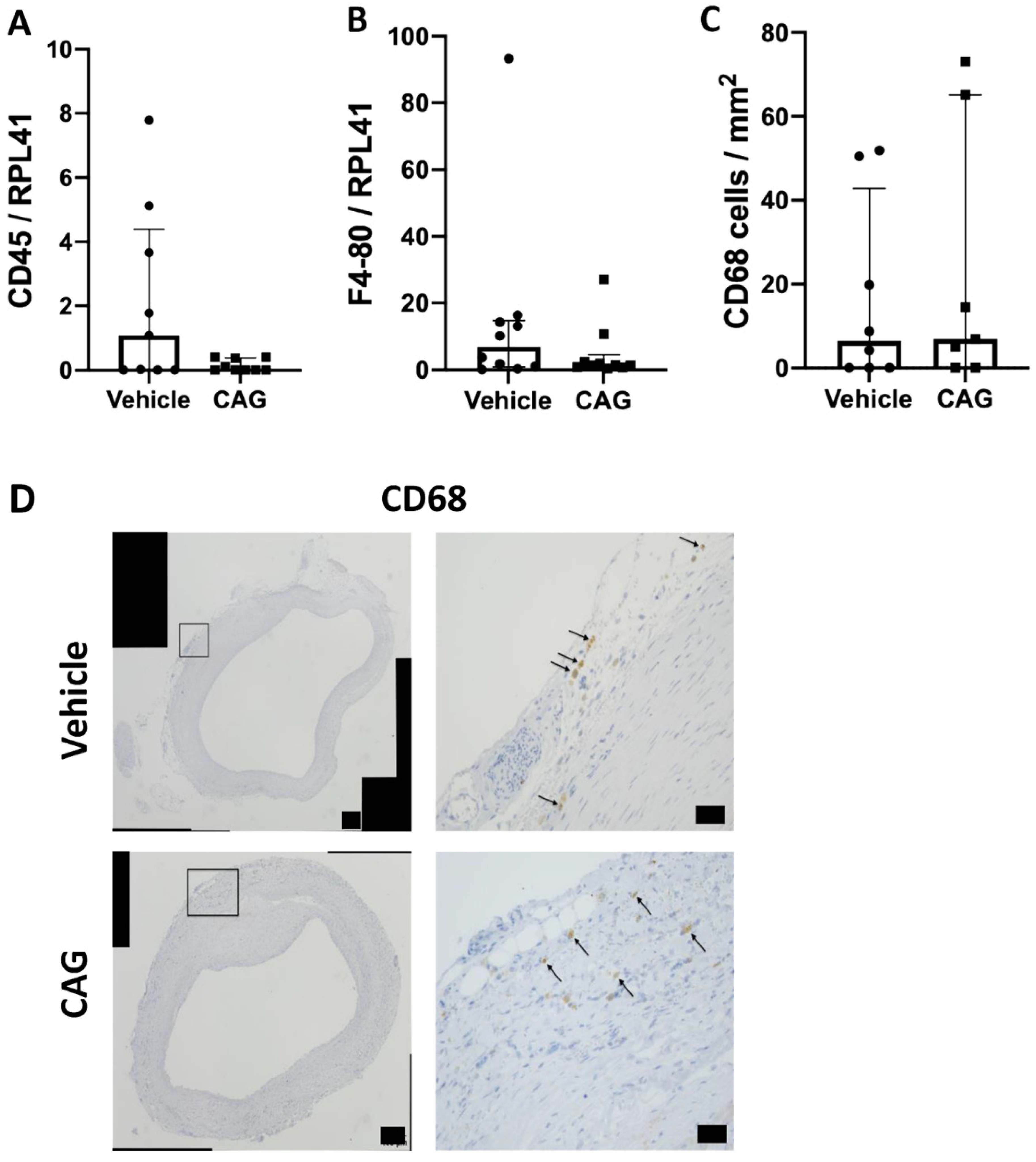 Biomedicines 10 00359 g005