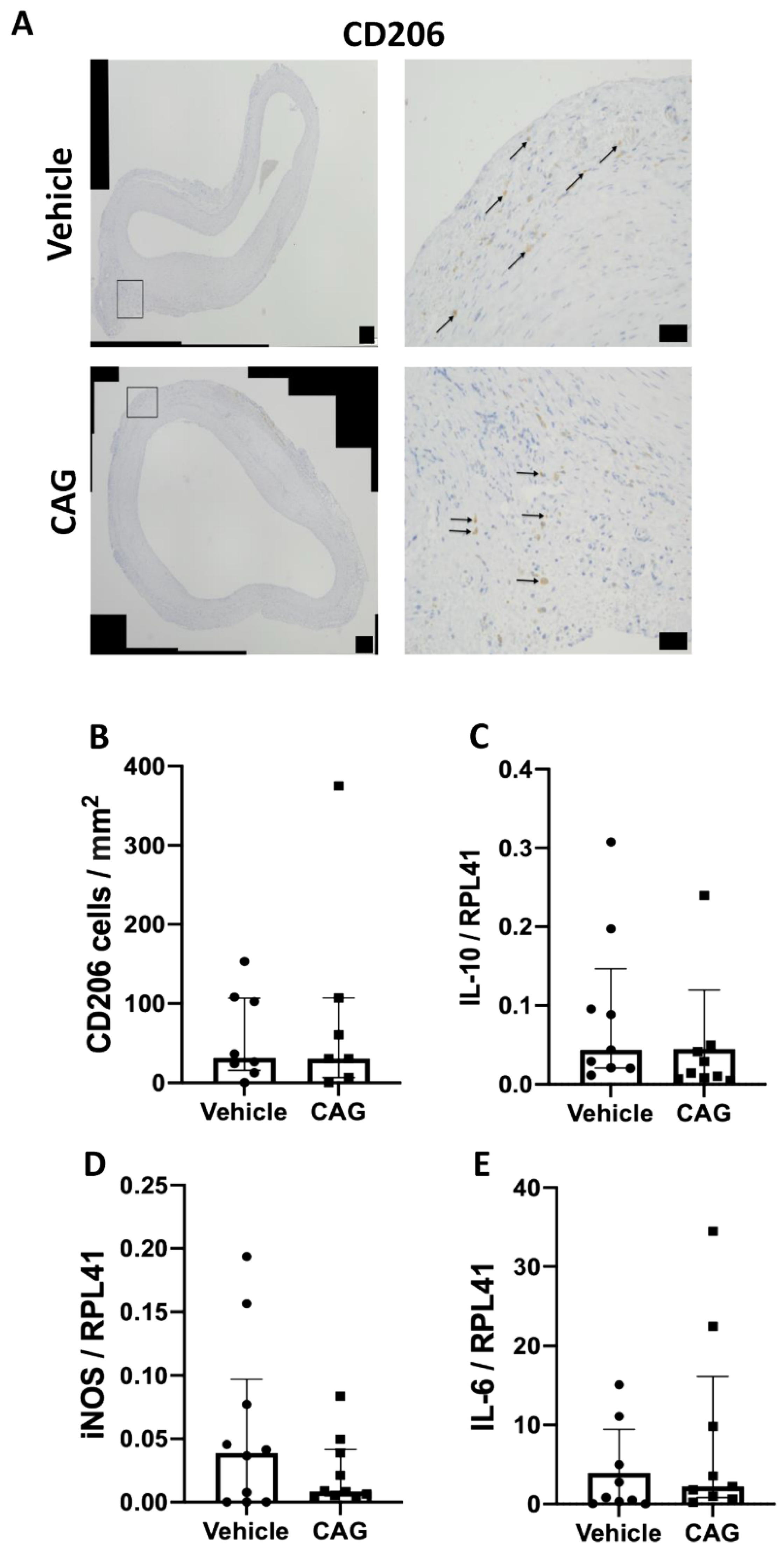 Biomedicines 10 00359 g006