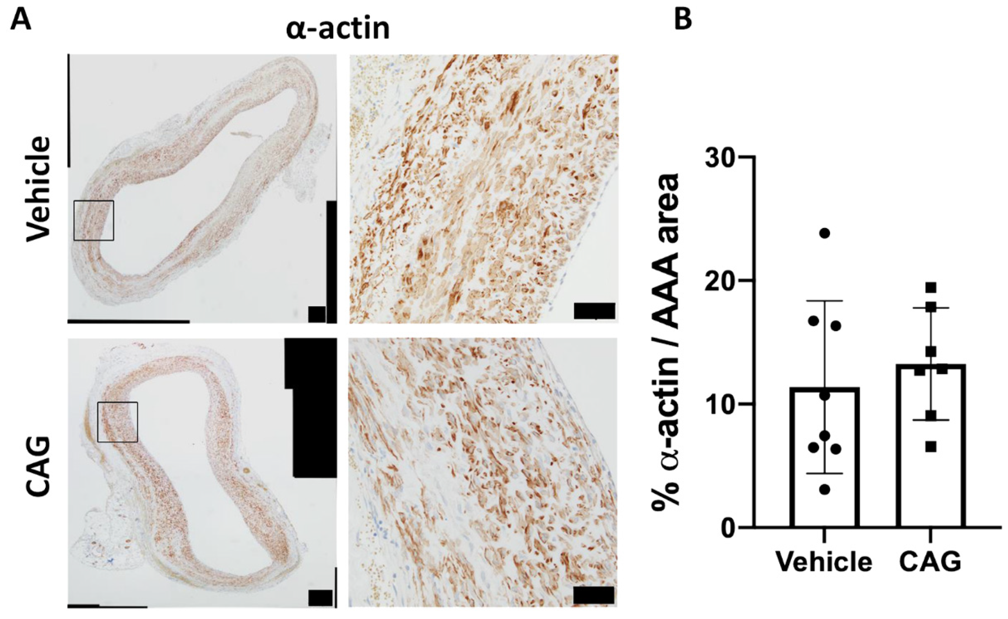 Biomedicines 10 00359 g009