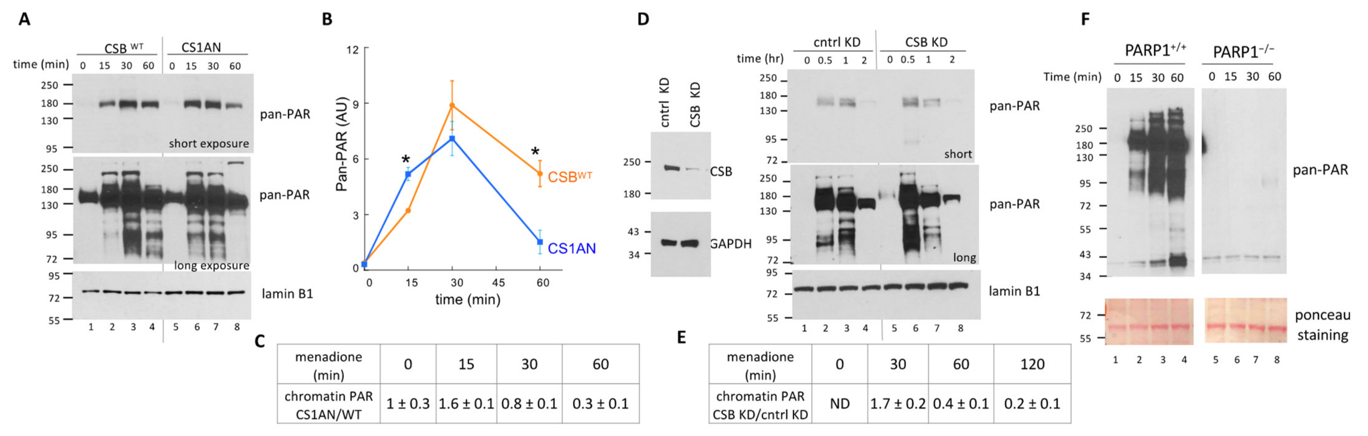 Biomedicines 10 00361 g004