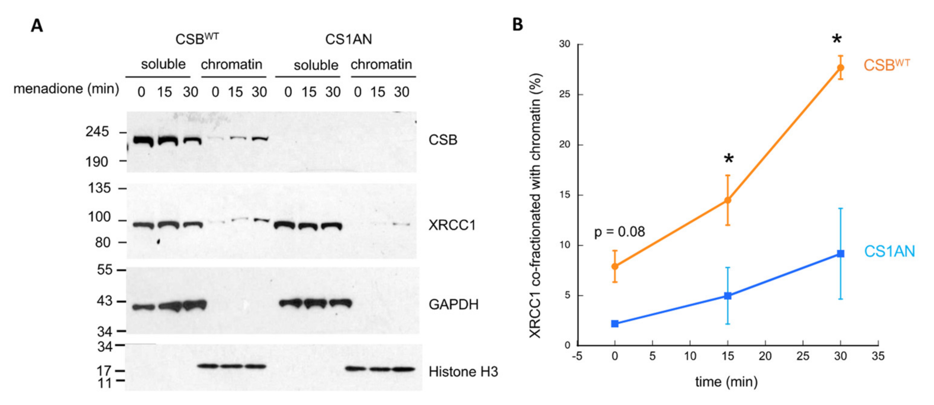 Biomedicines 10 00361 g005