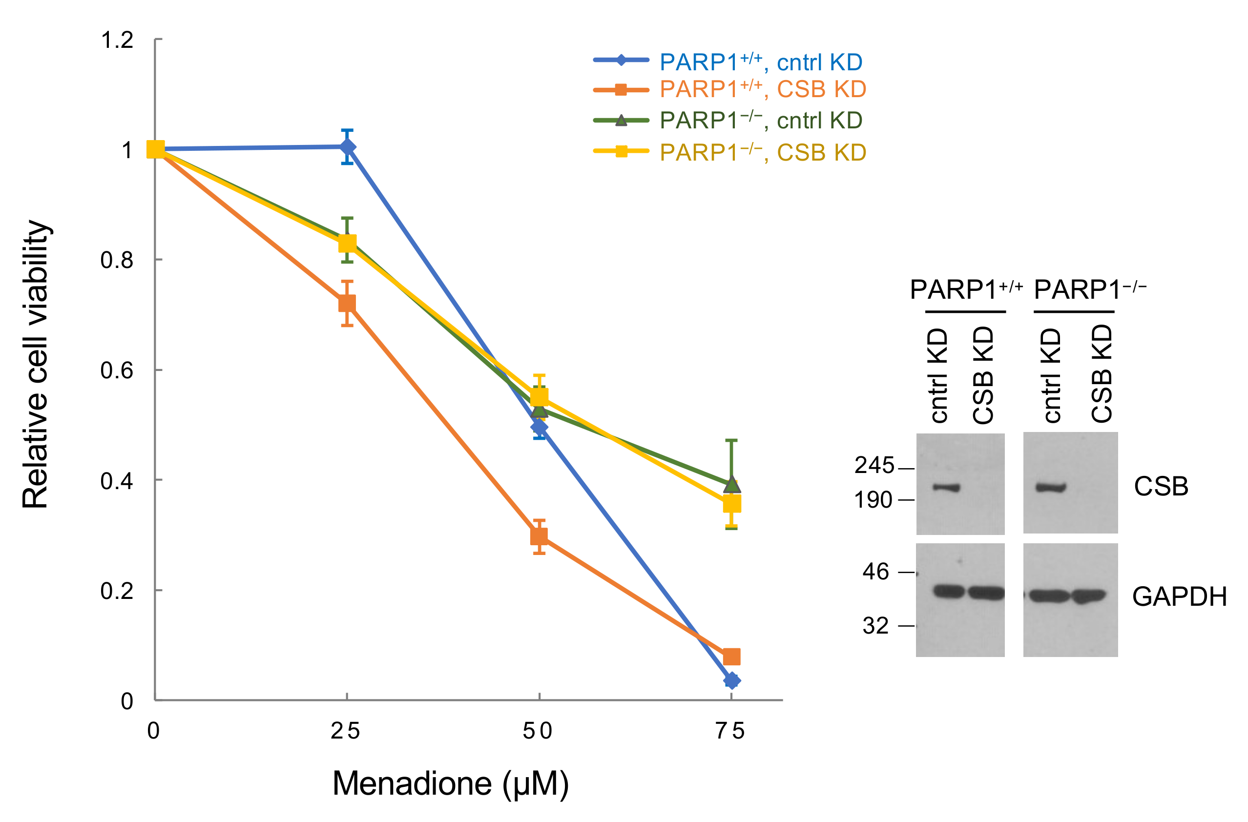 Biomedicines 10 00361 g006