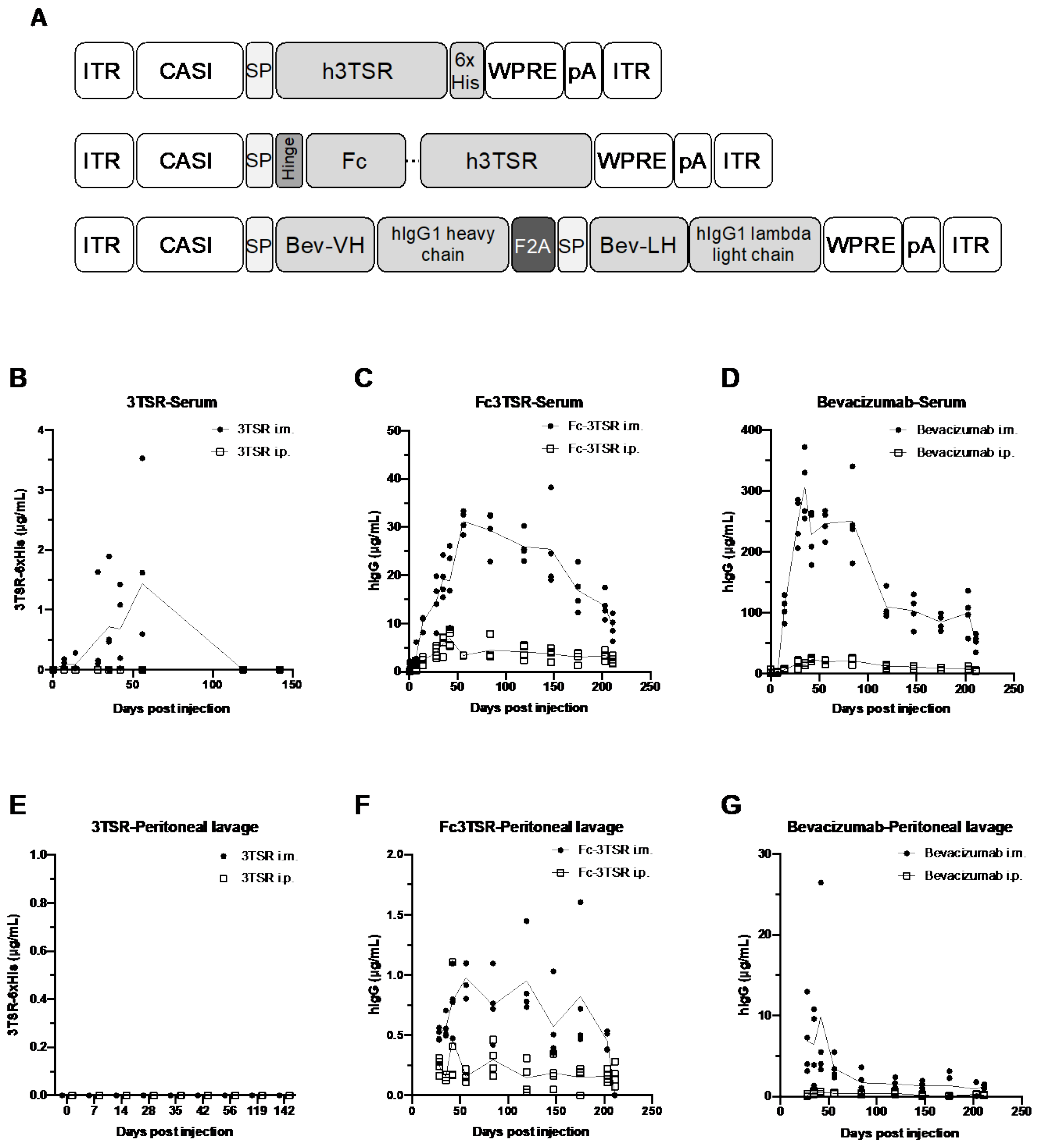 Biomedicines 10 00362 g001