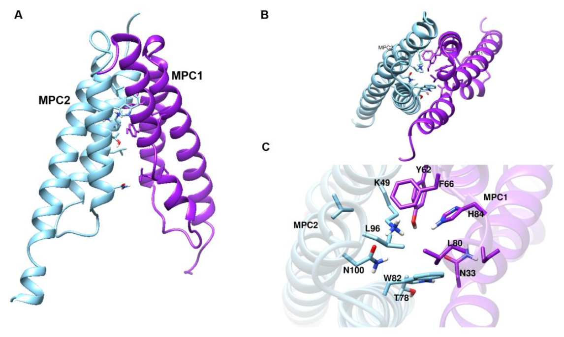 Biomedicines 10 00365 g002