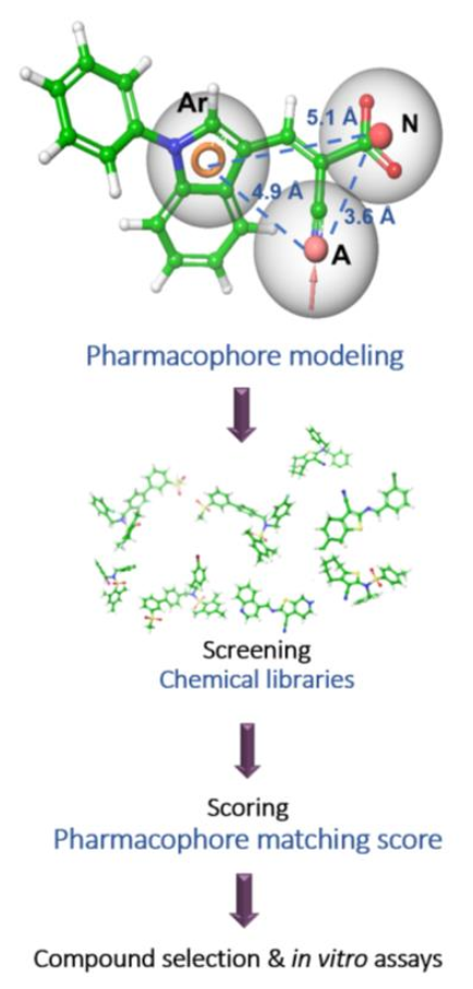 Biomedicines 10 00365 g004