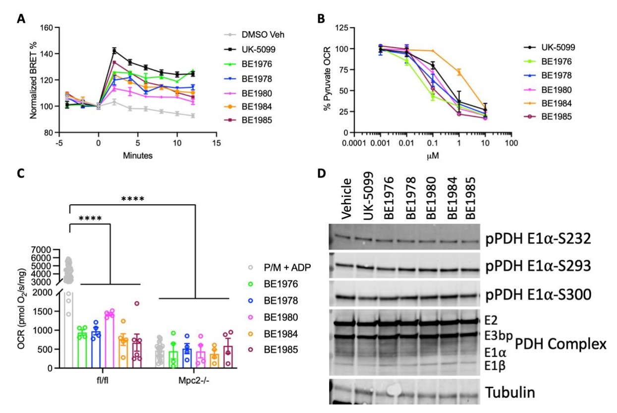 Biomedicines 10 00365 g006