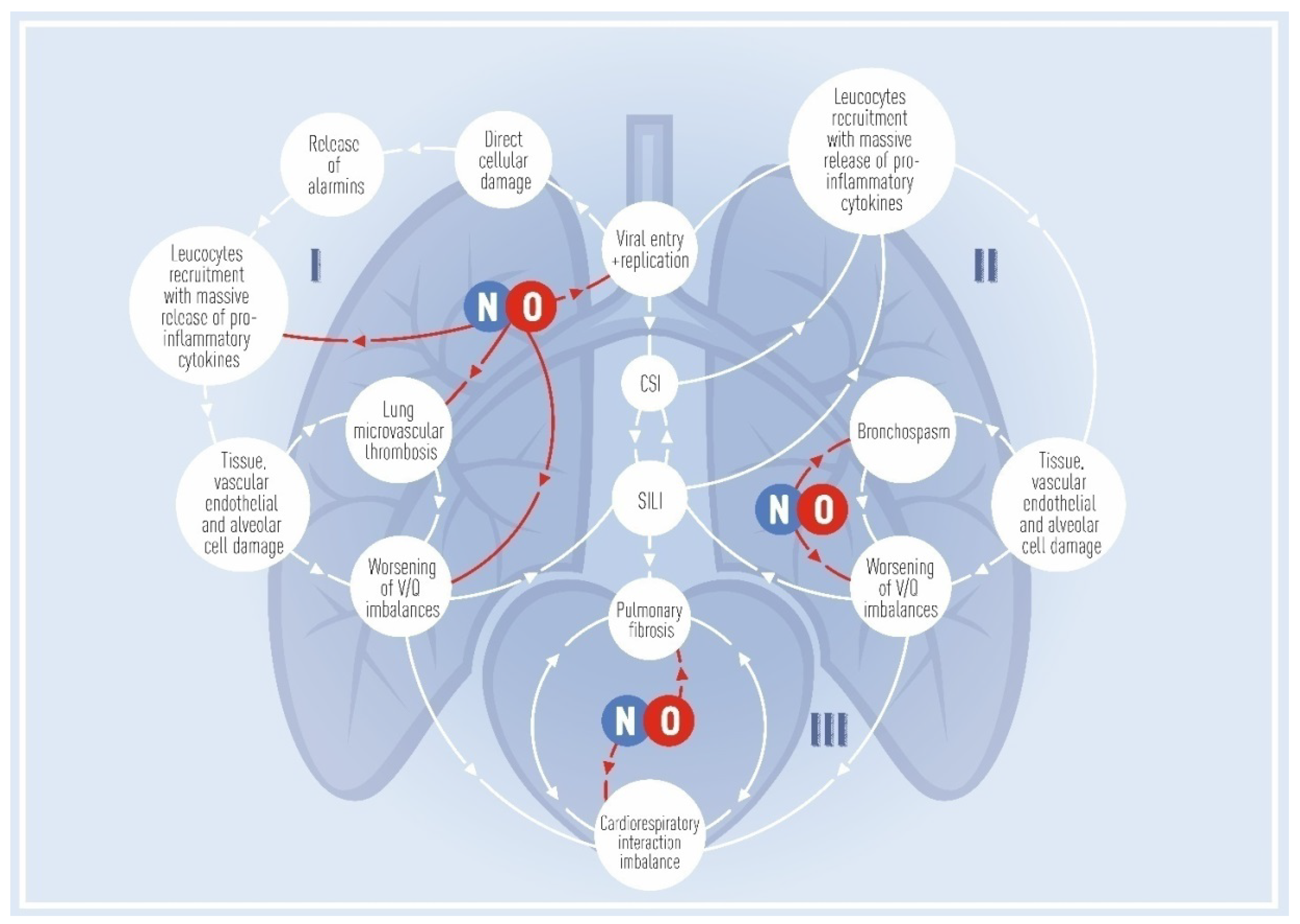 Biomedicines 10 00369 g001 Biomedicines 10 00369 g001