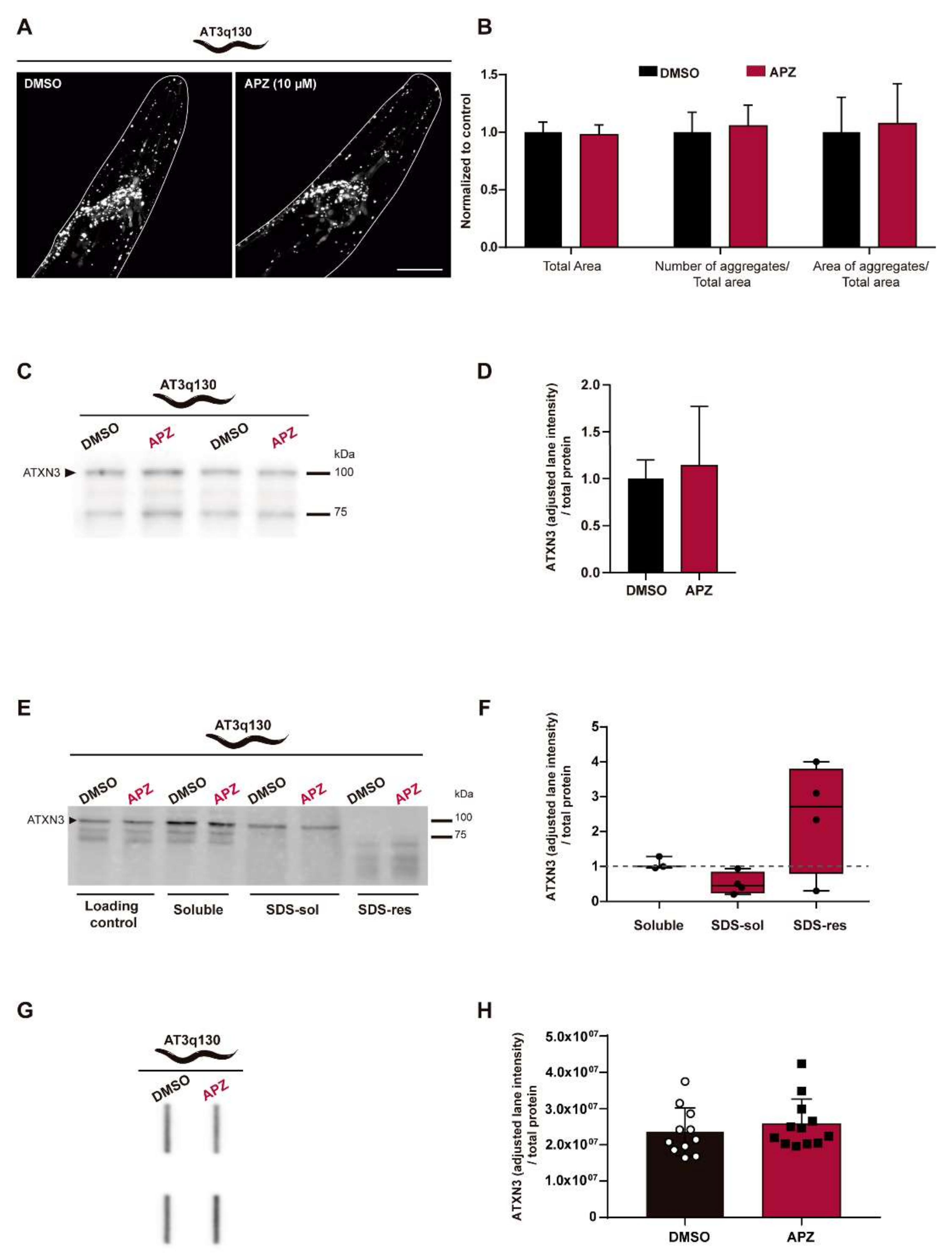 Biomedicines 10 00370 g002