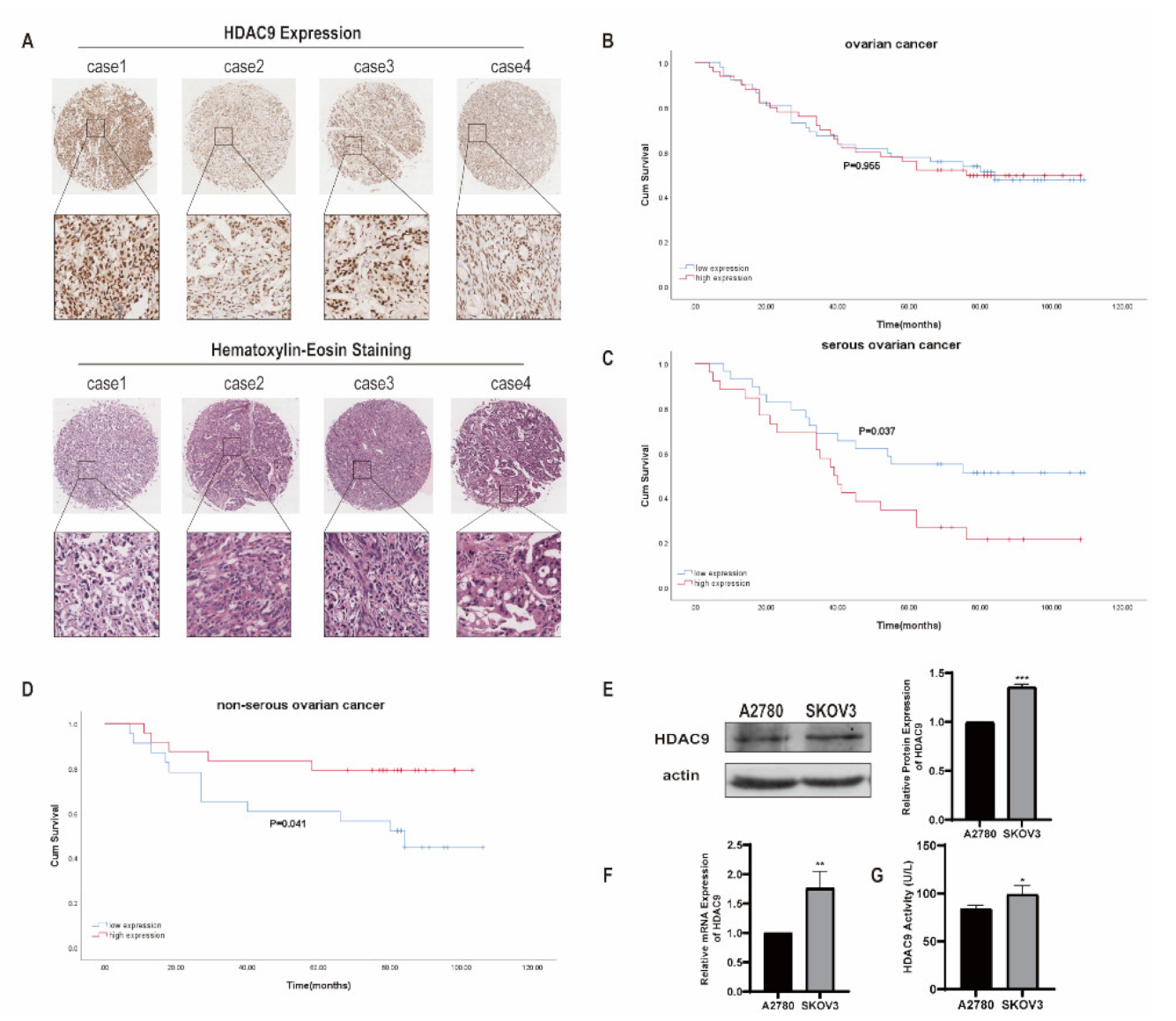 Biomedicines 10 00374 g001
