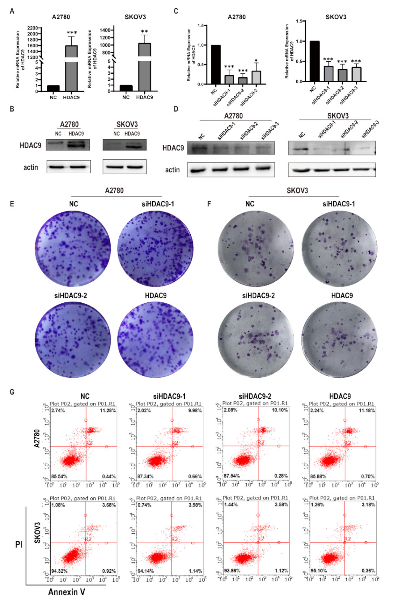 Biomedicines 10 00374 g002
