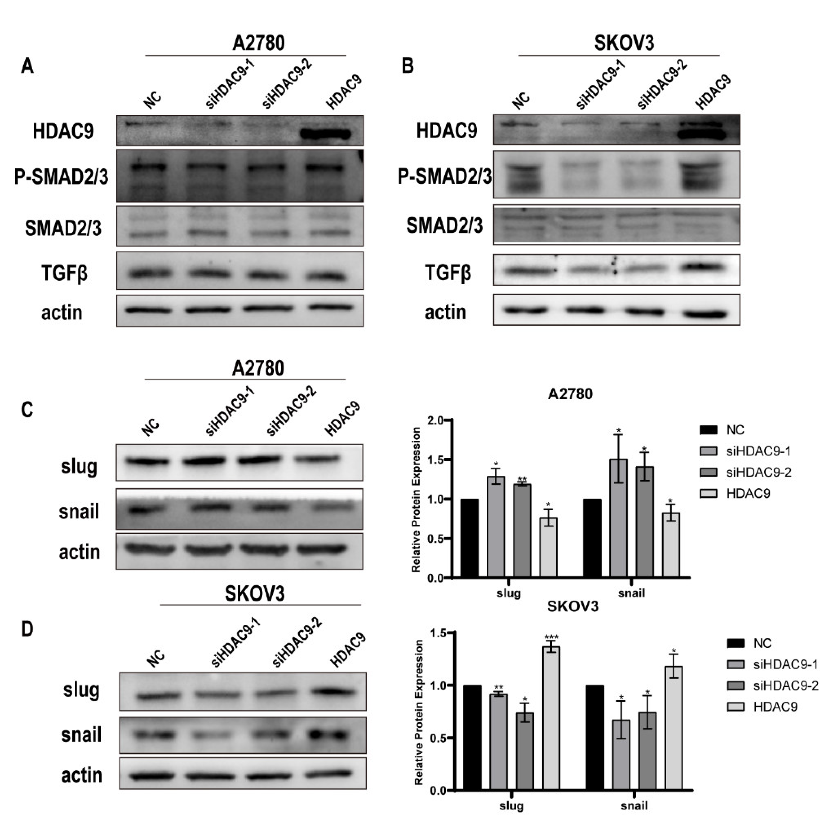 Biomedicines 10 00374 g005
