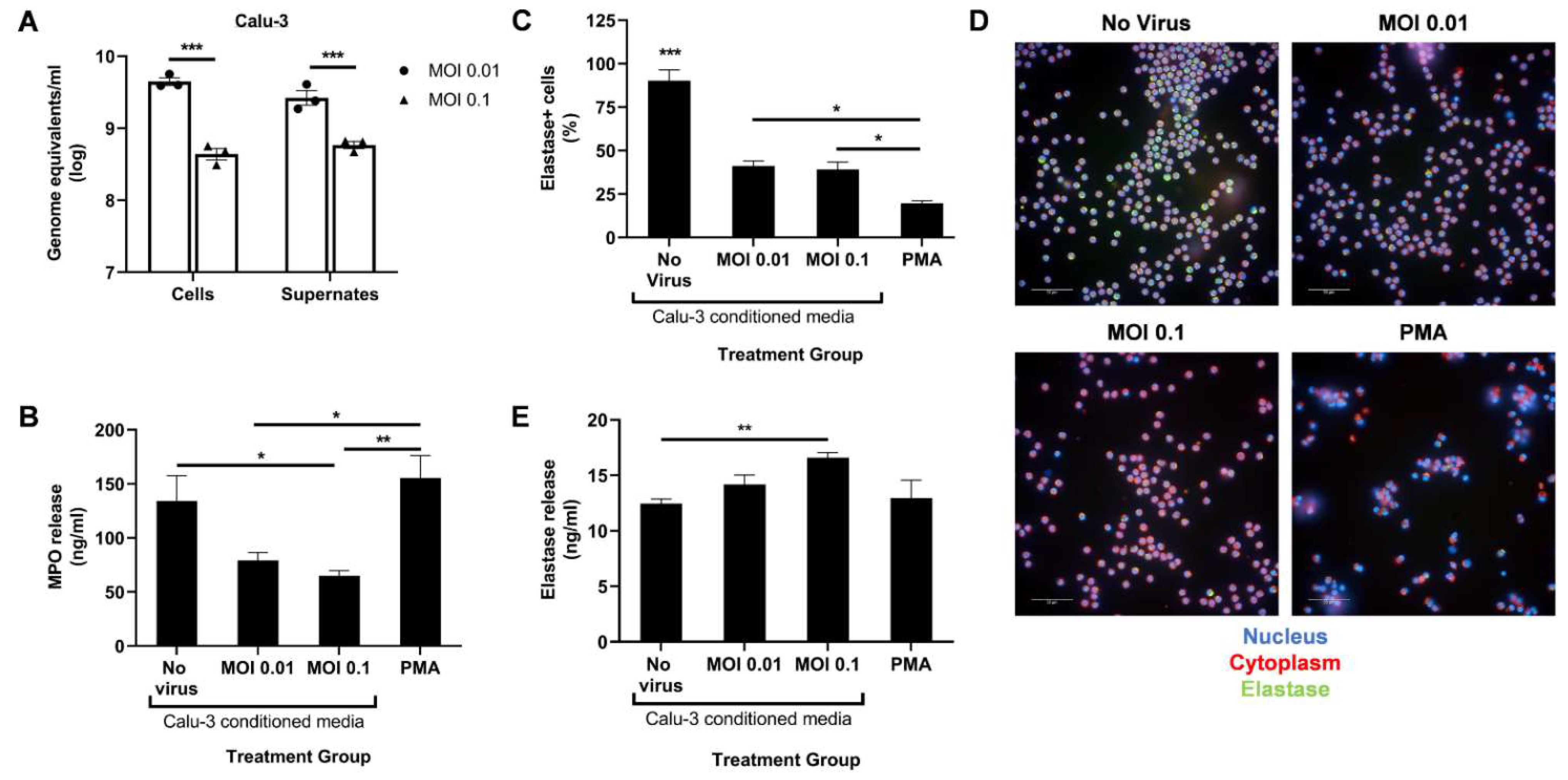 Biomedicines 10 00382 g001