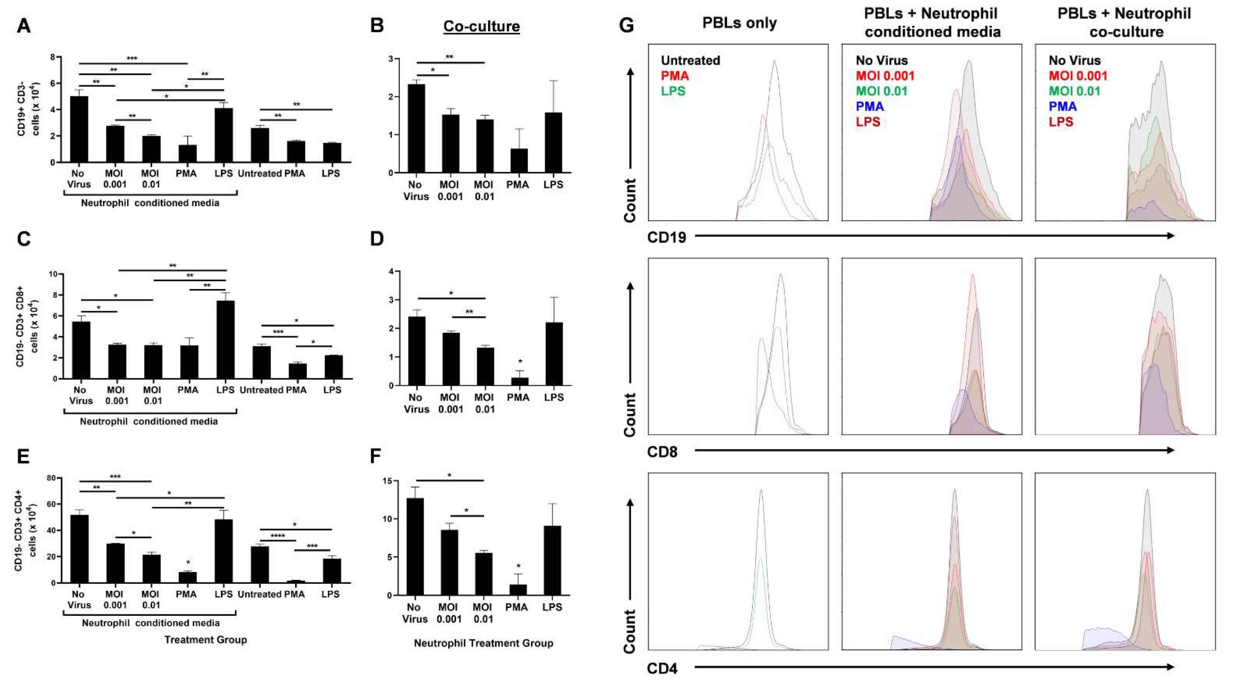 Biomedicines 10 00382 g003