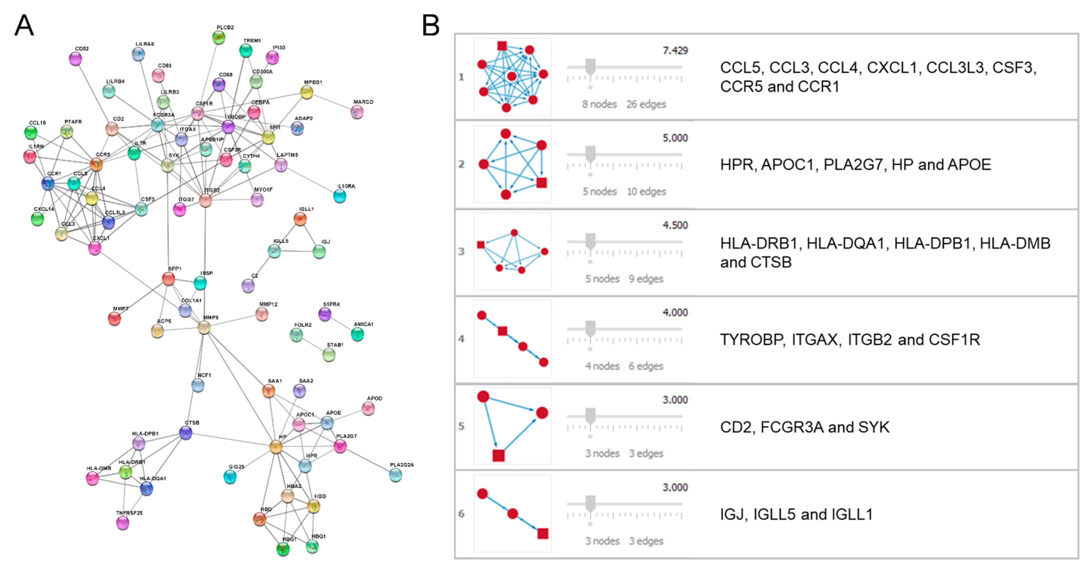 Biomedicines 10 00389 g003