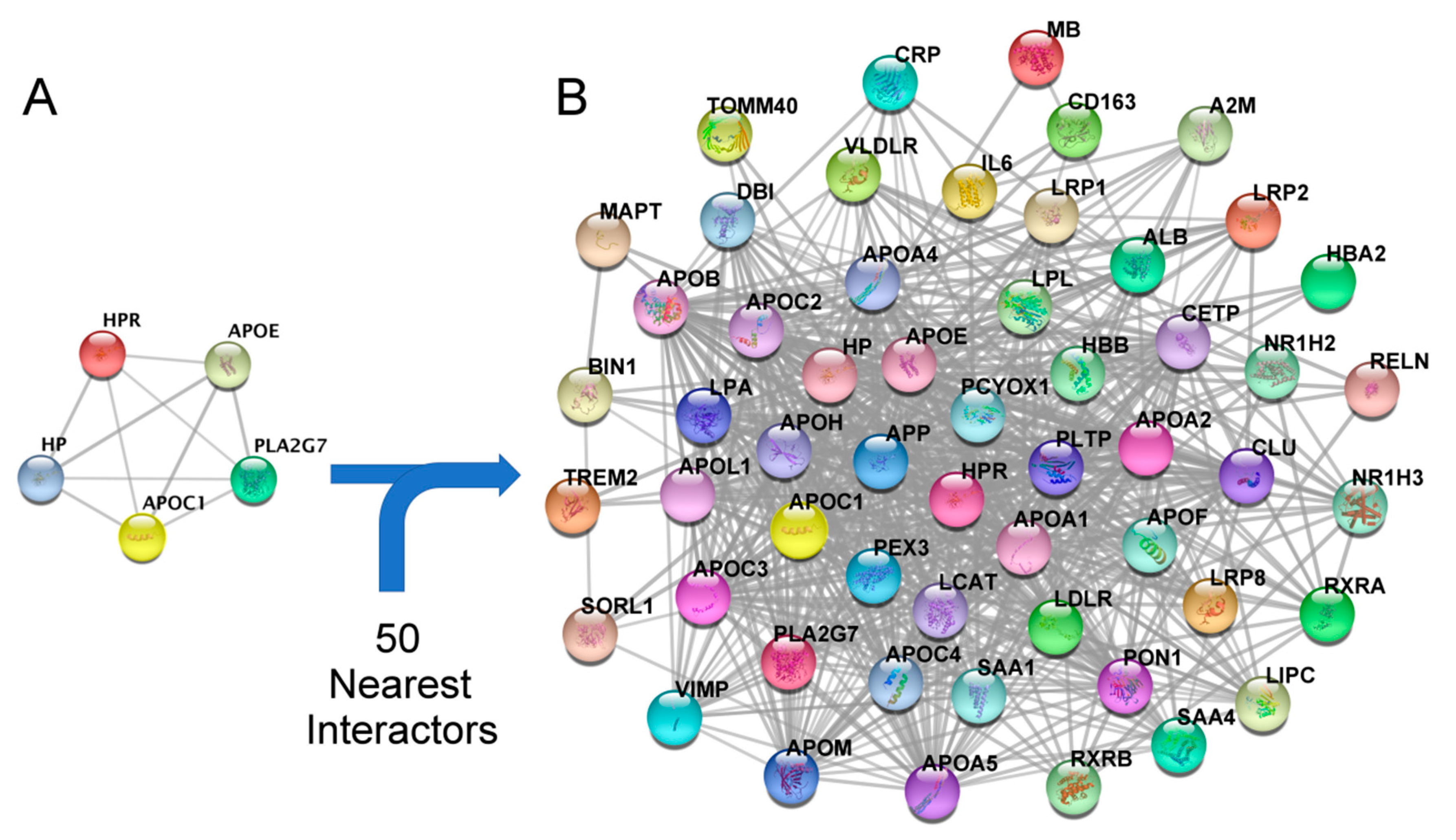 Biomedicines 10 00389 g004