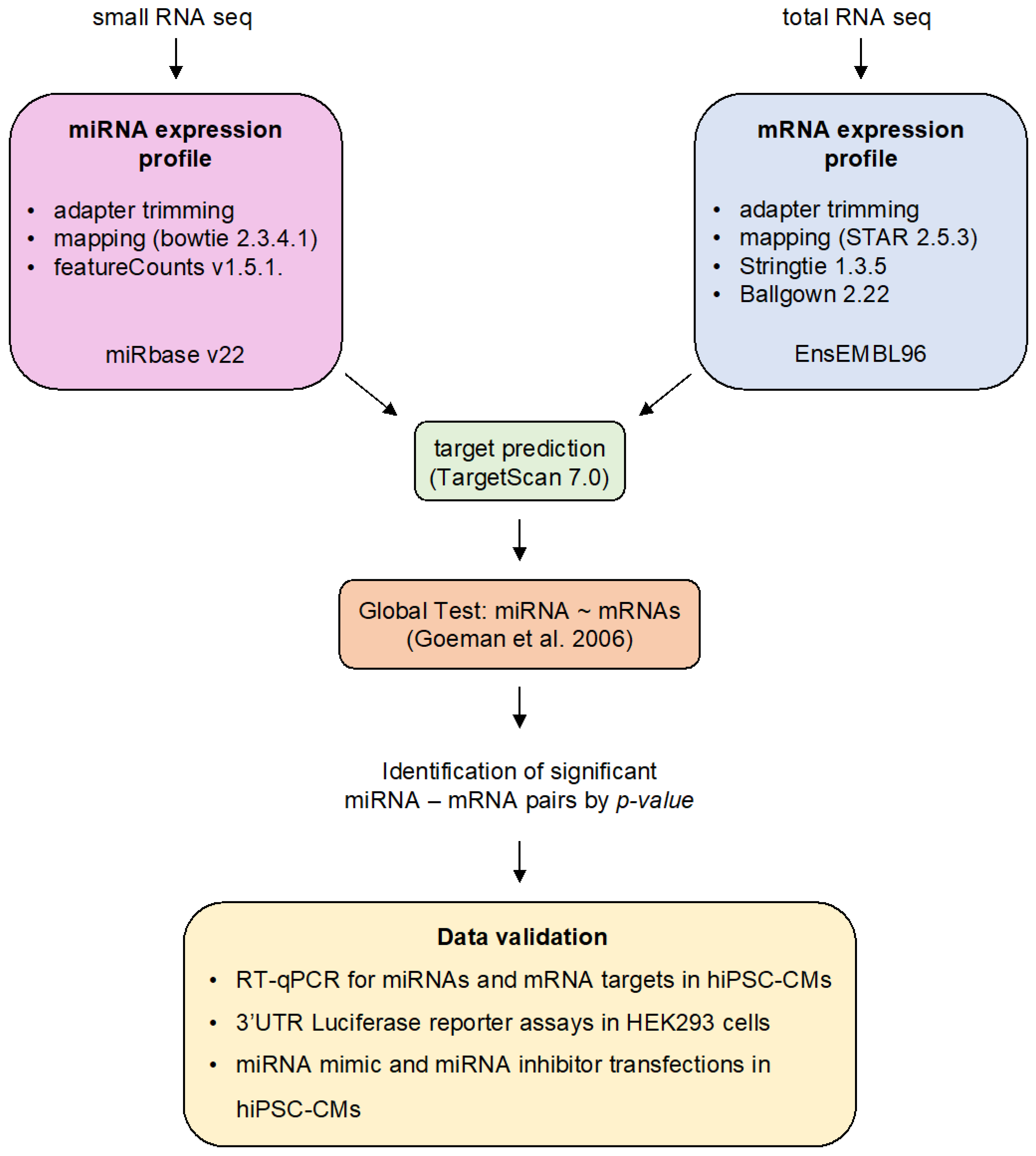 Biomedicines 10 00391 g001