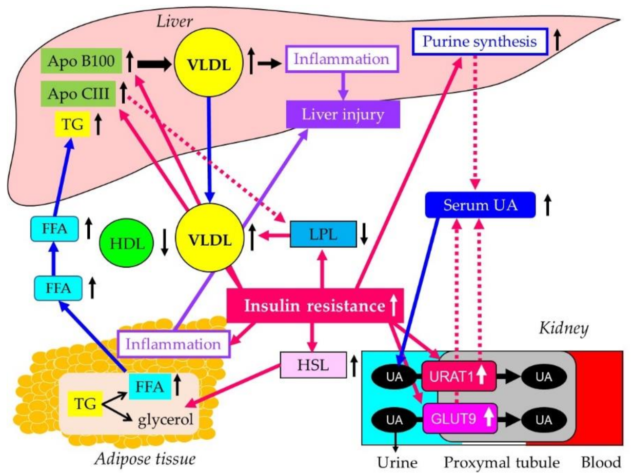 Biomedicines 10 00401 g006