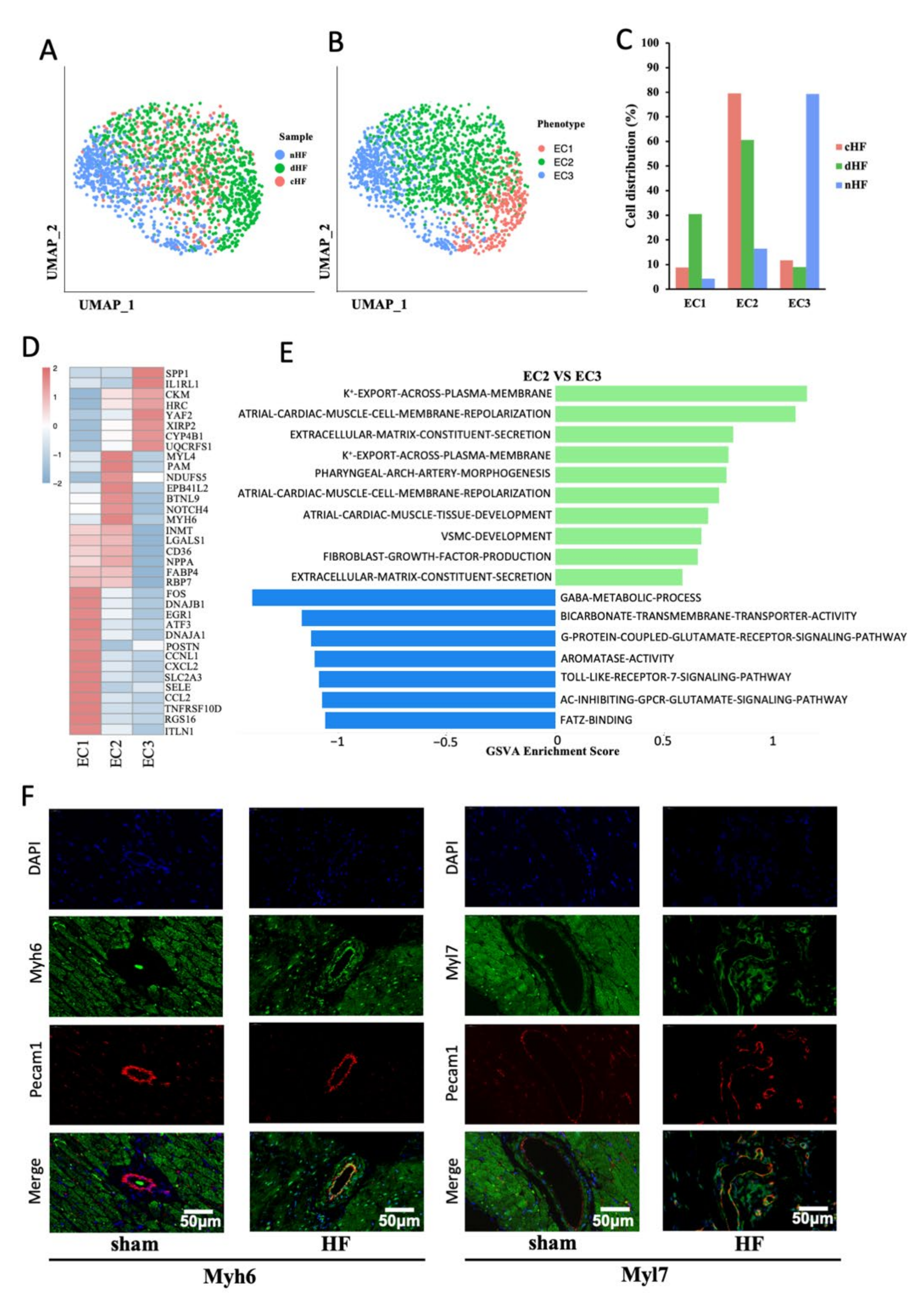 Biomedicines 10 00402 g005