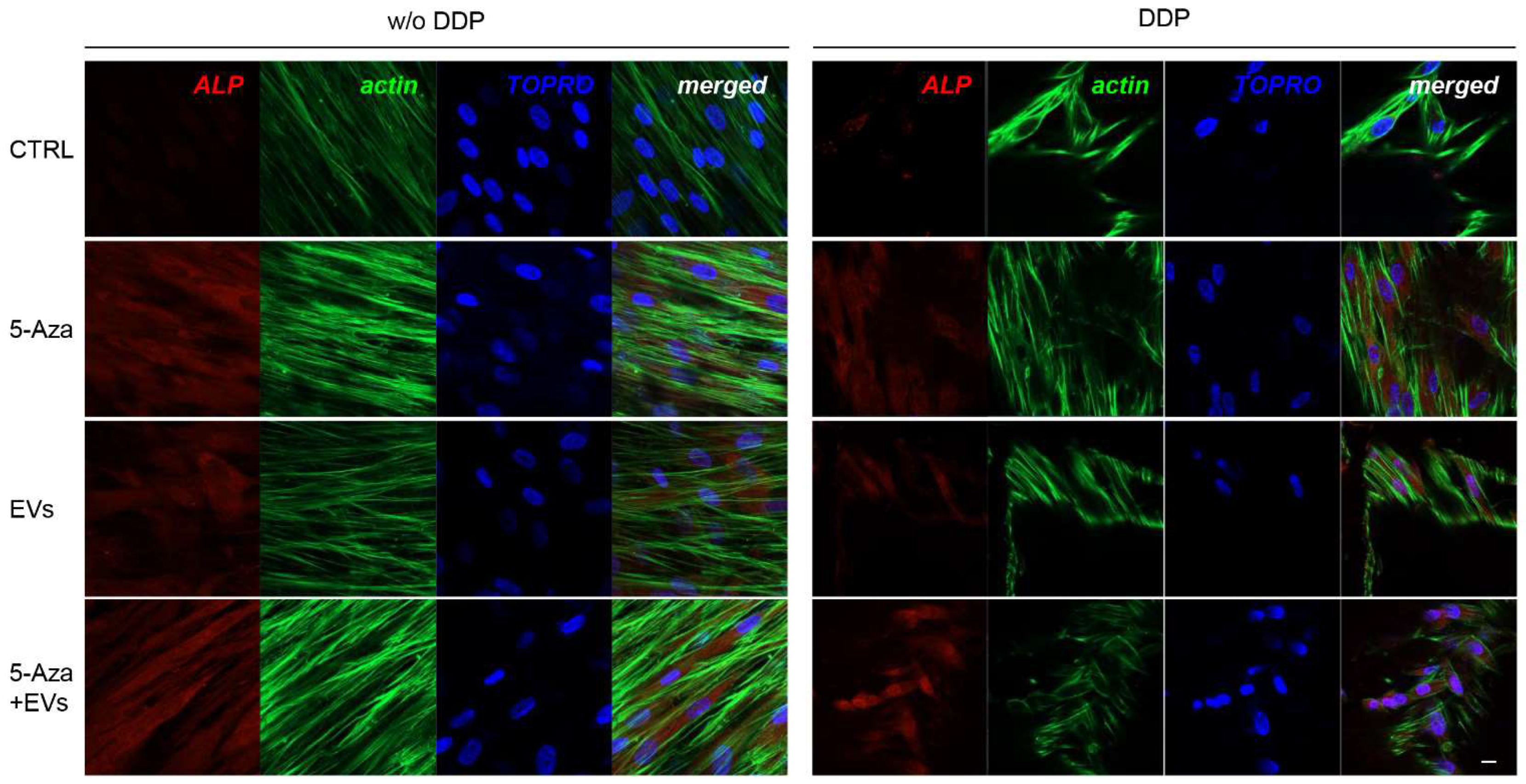 Biomedicines 10 00403 g003