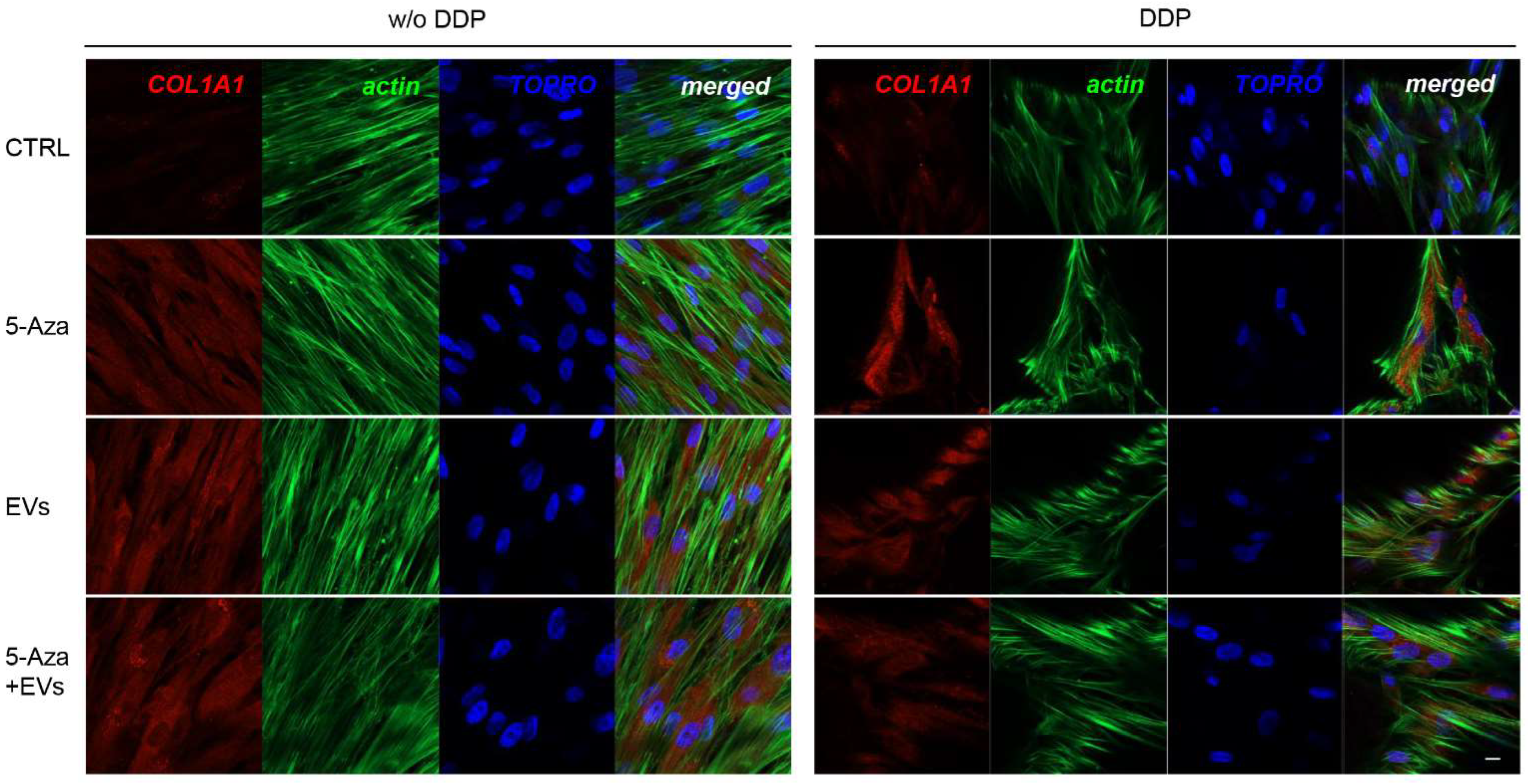 Biomedicines 10 00403 g005