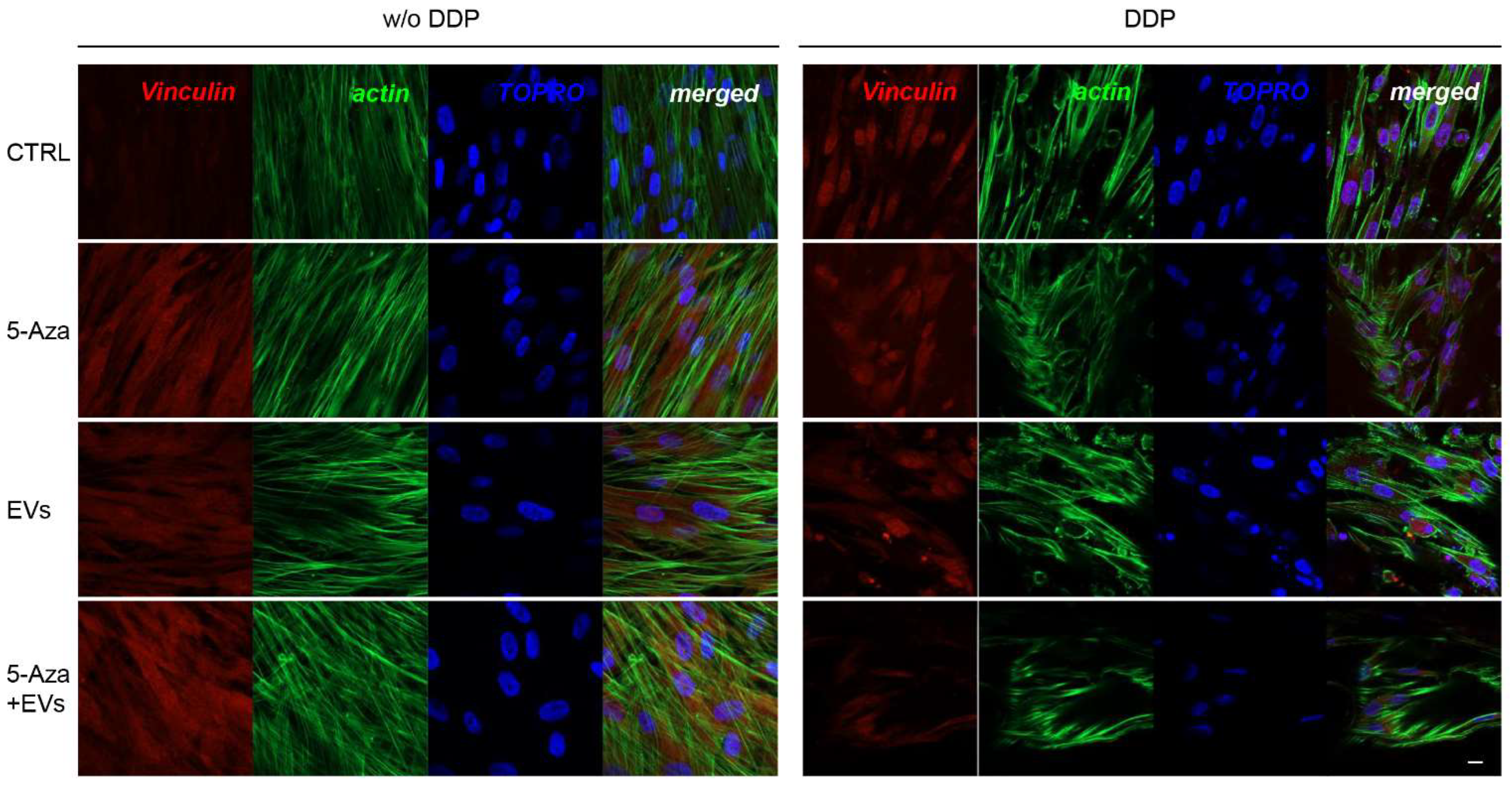 Biomedicines 10 00403 g006