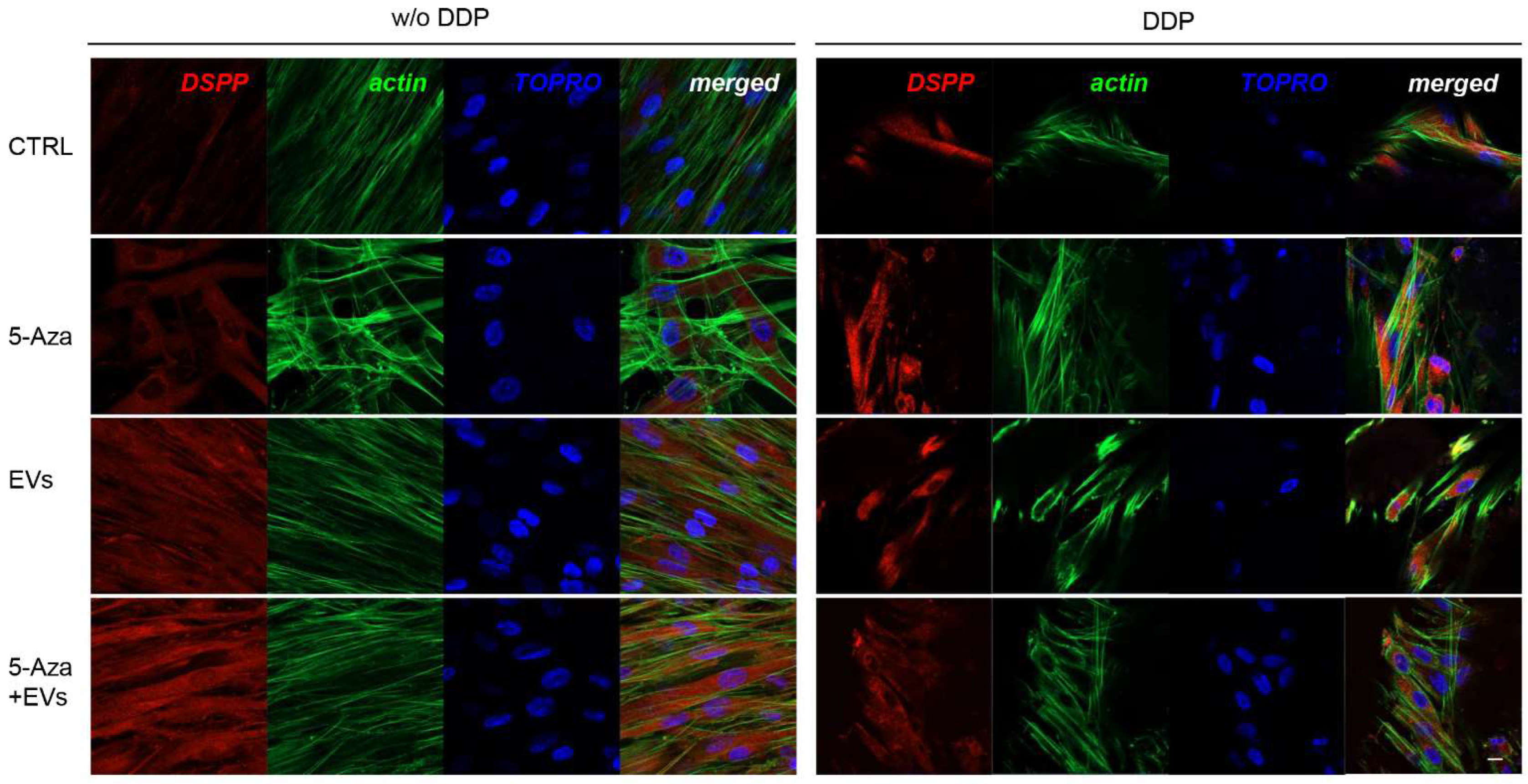 Biomedicines 10 00403 g008