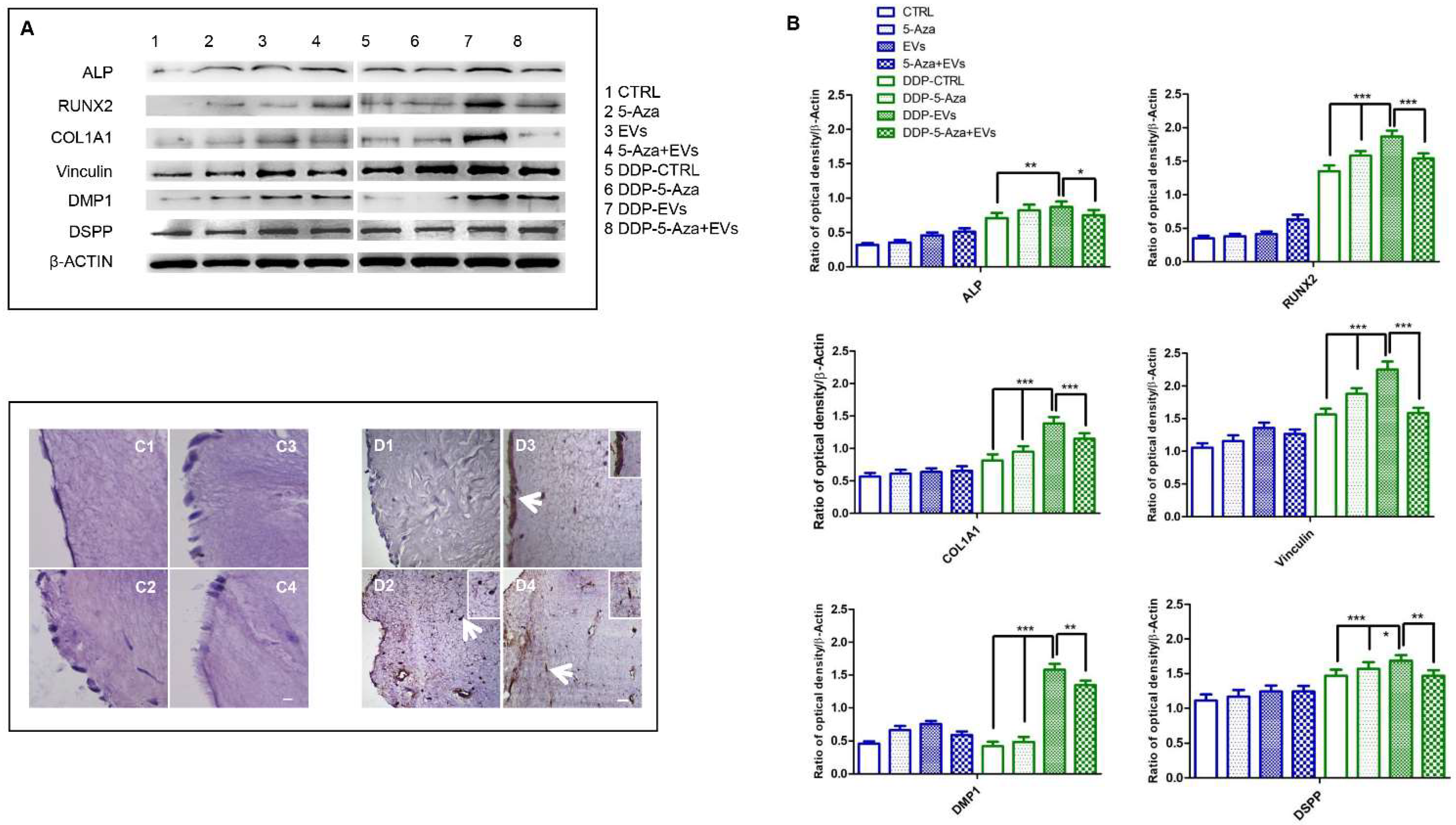Biomedicines 10 00403 g009