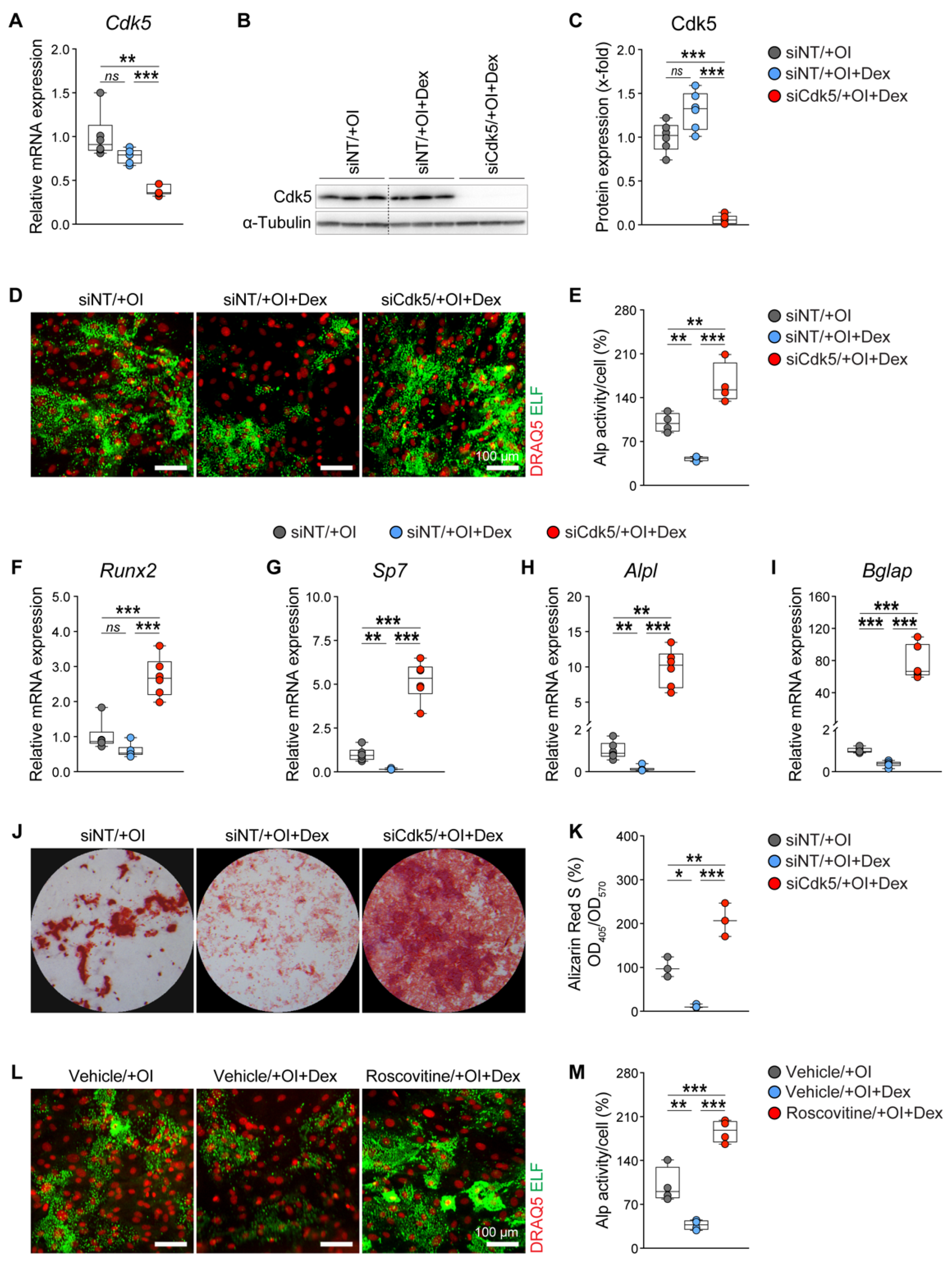 Biomedicines 10 00404 g001
