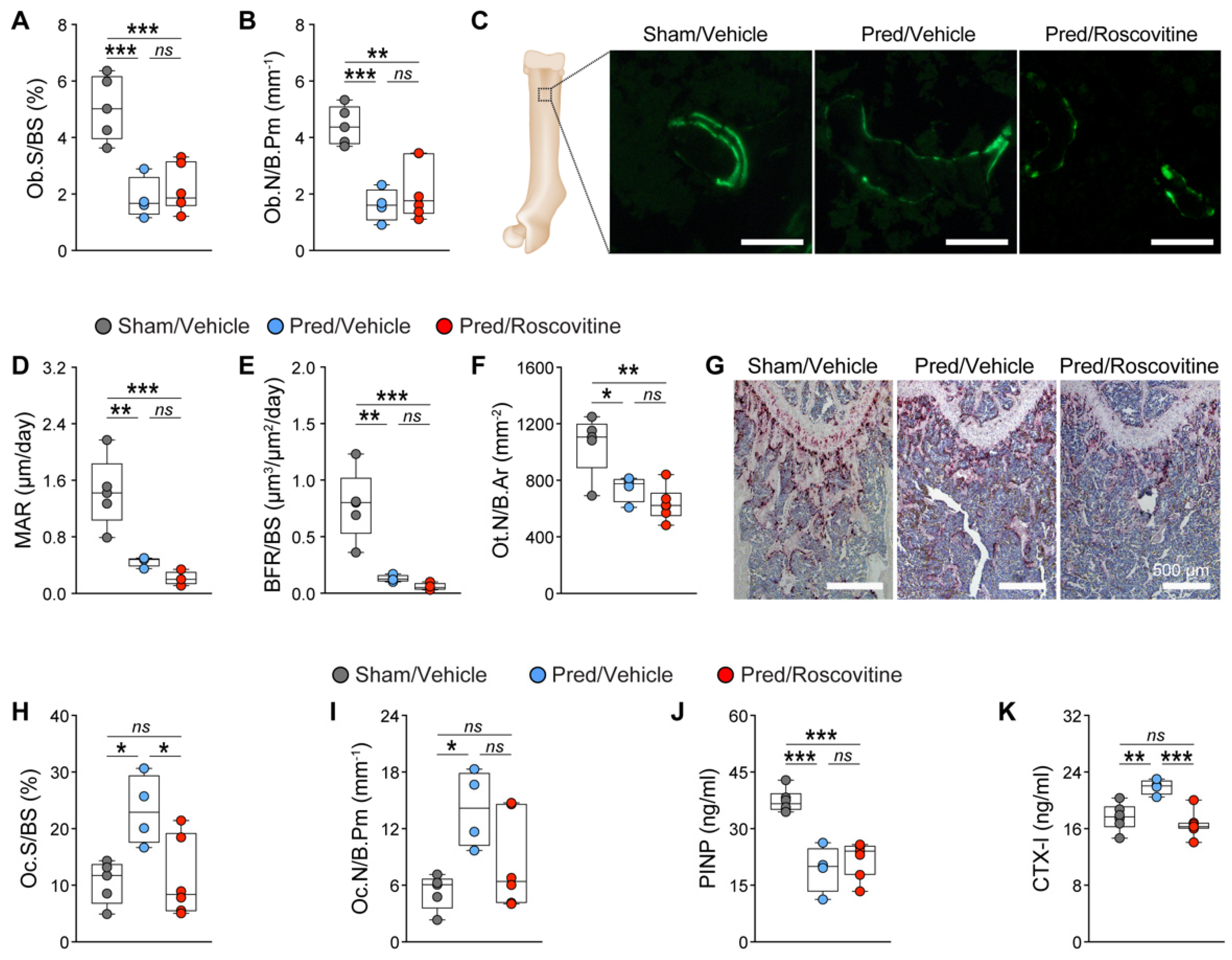 Biomedicines 10 00404 g003